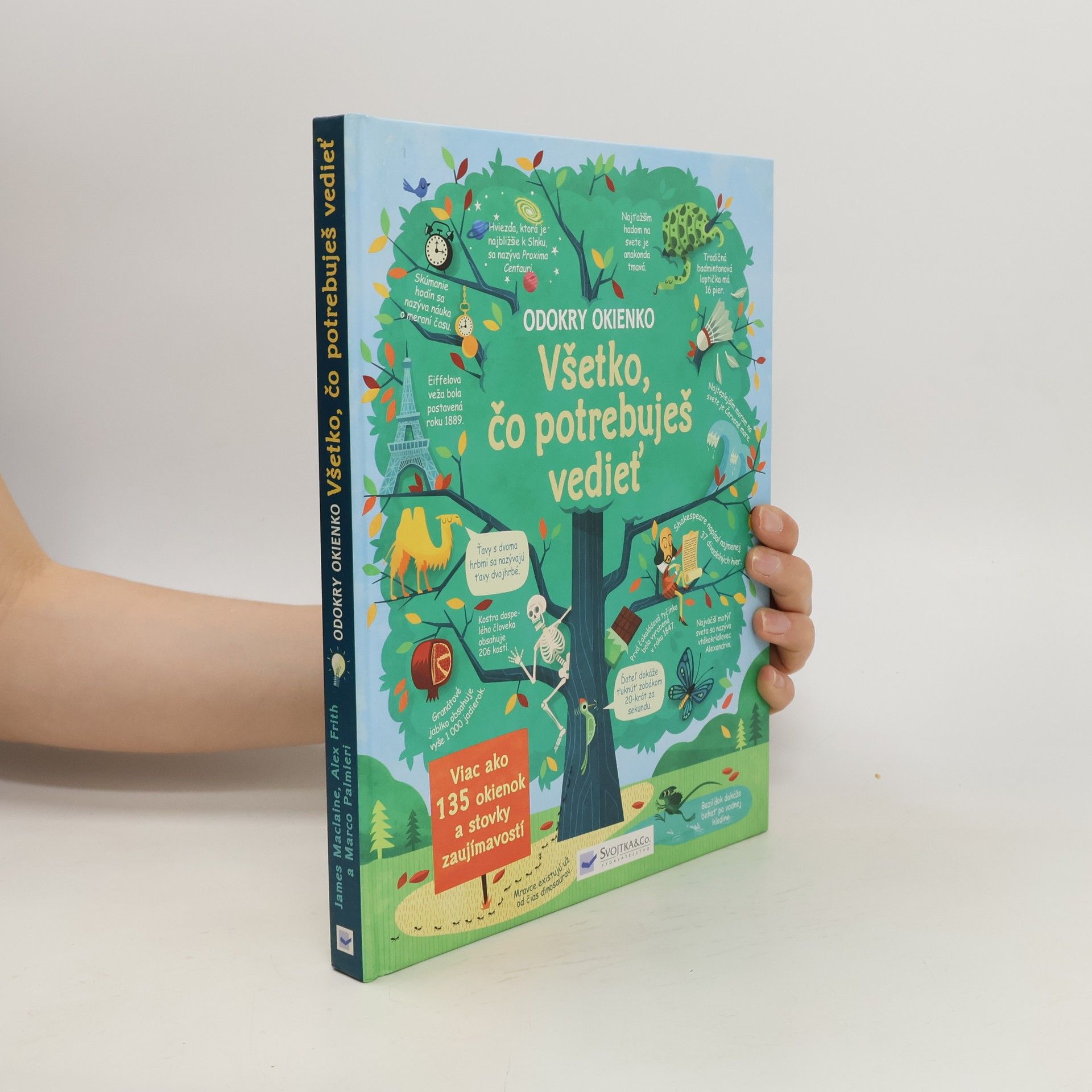 Autorenkollektiv Všetko, čo potrebuješ vedieť Odokry okienko