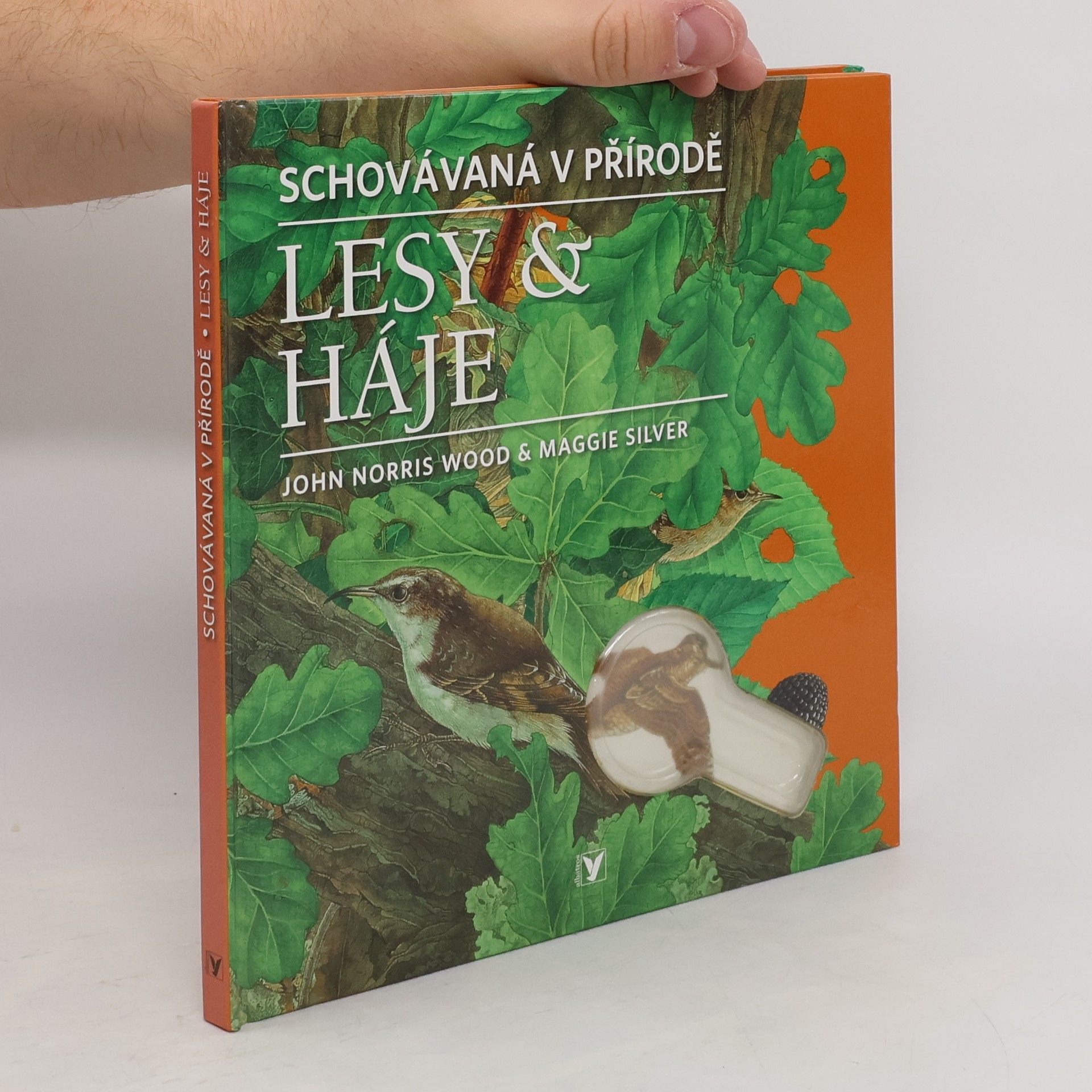 John Norris Wood Lesy & háje