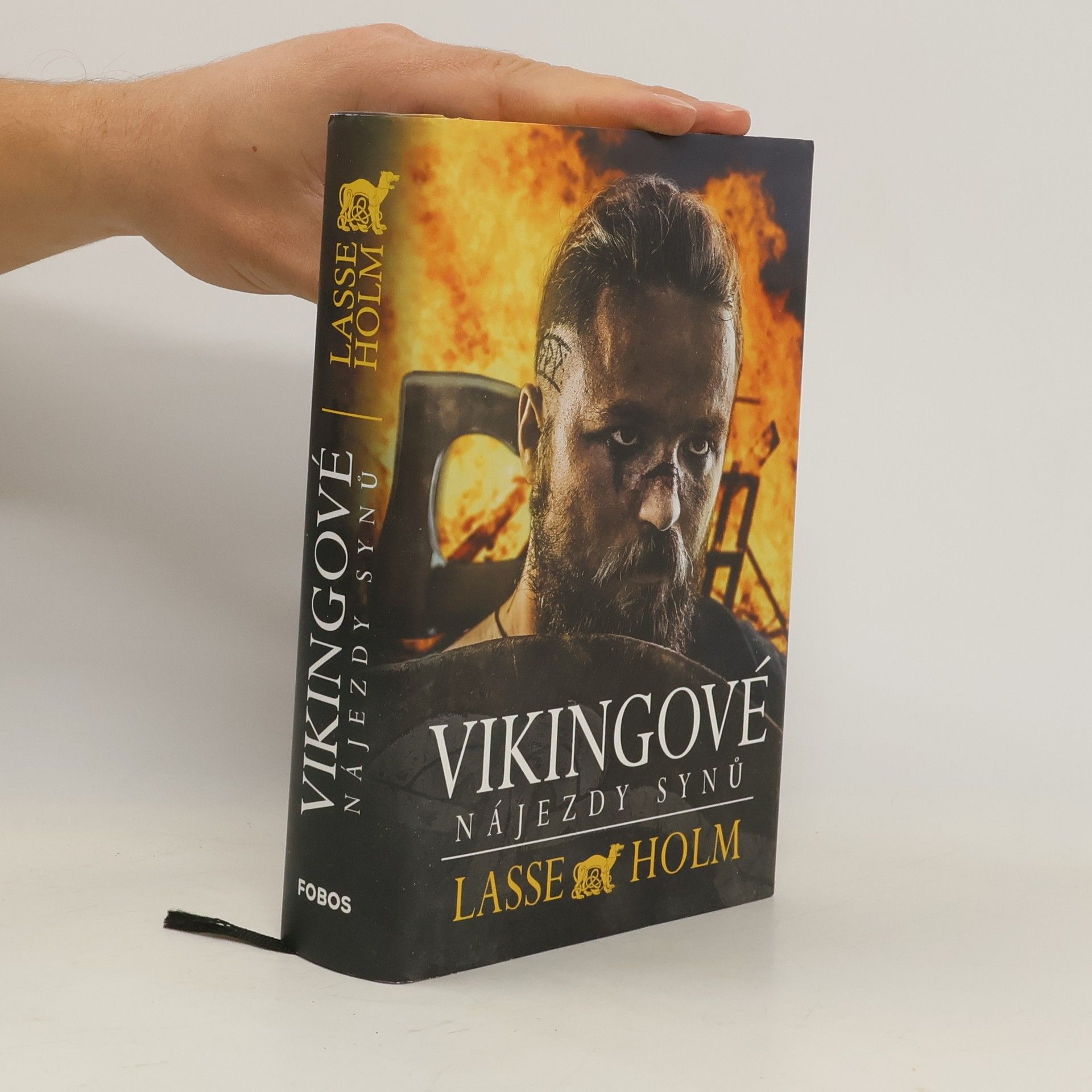 Lasse Holm Vikingové. Nájezdy synů