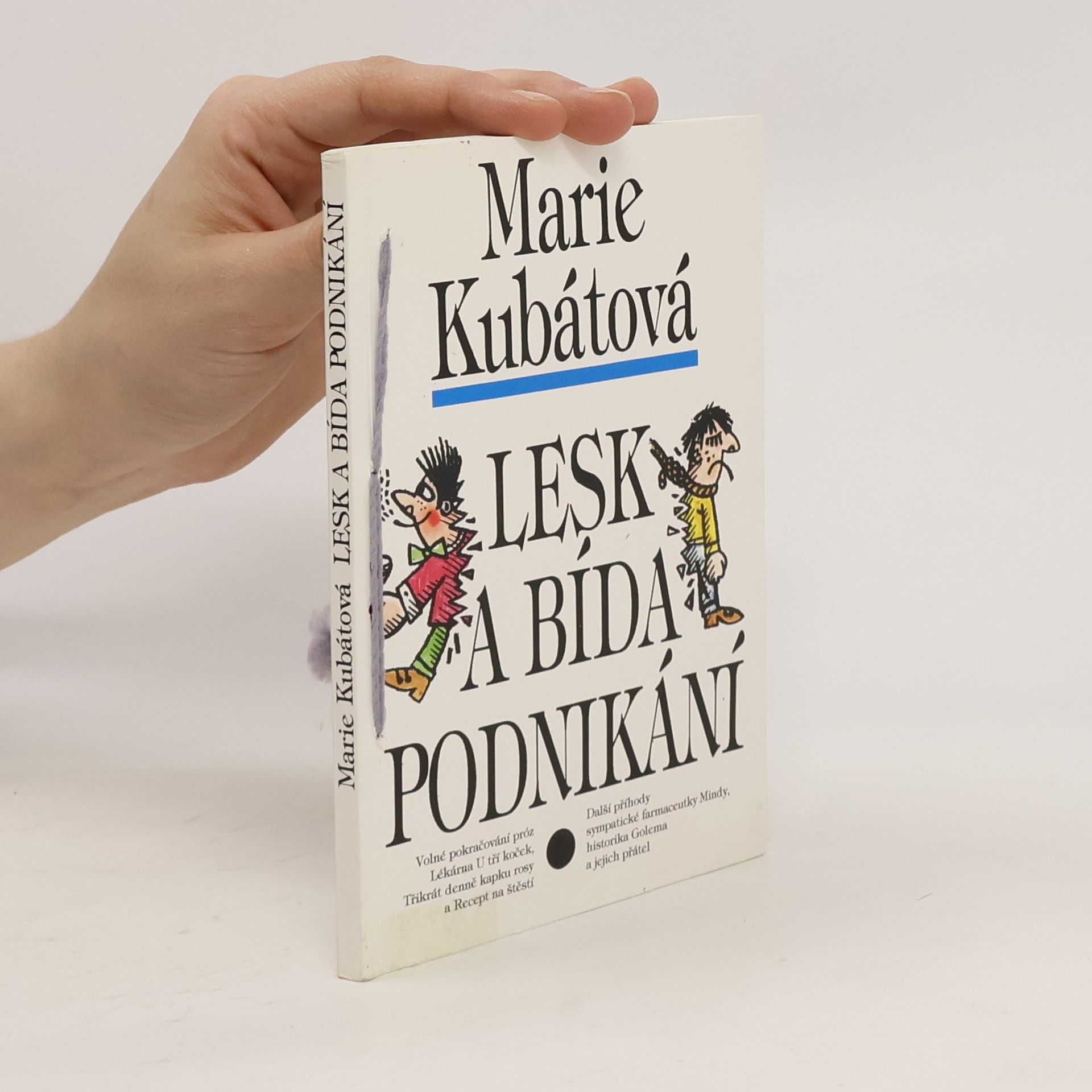 Marie Kubátová Lesk a bída podnikání
