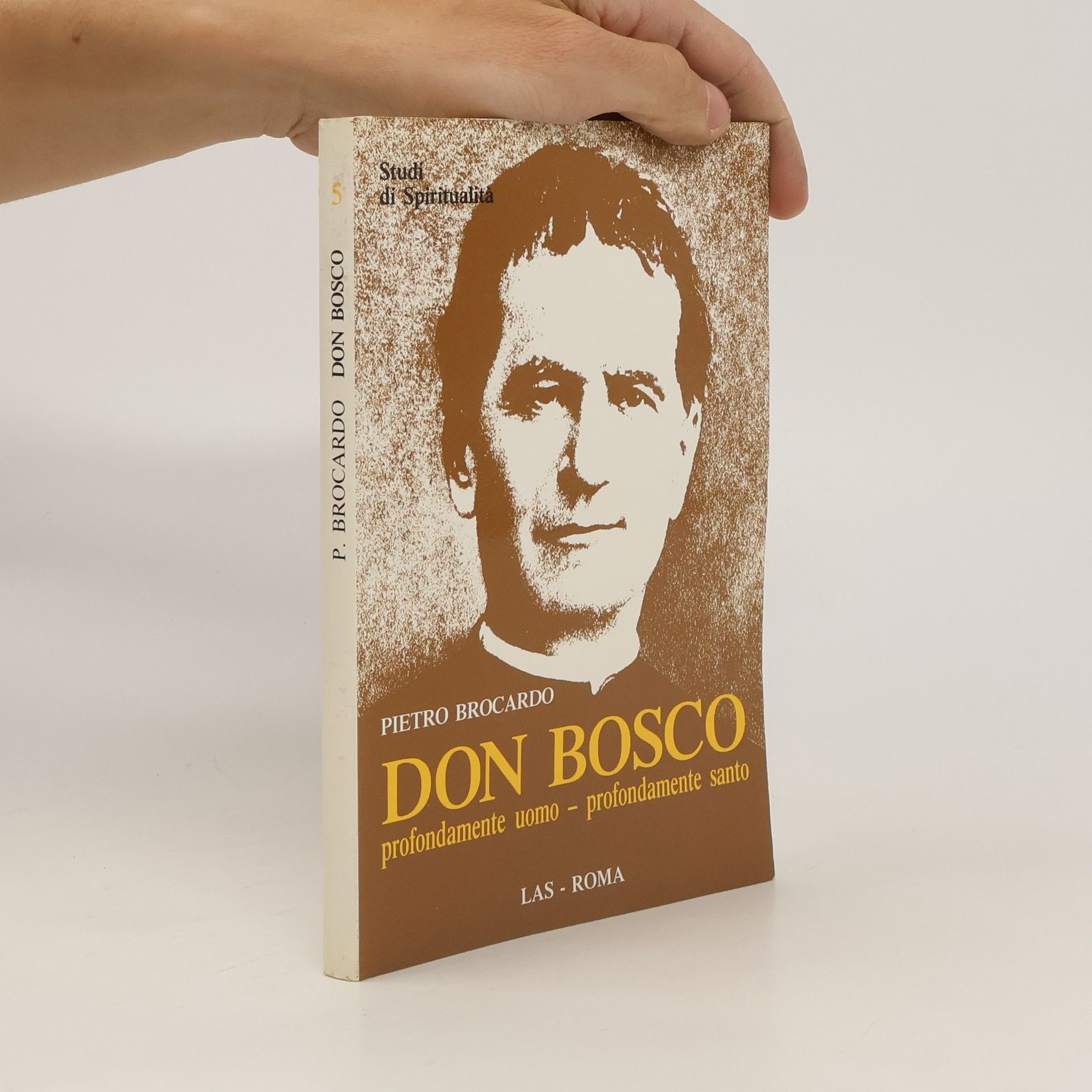Pietro Brocardo Don Bosco