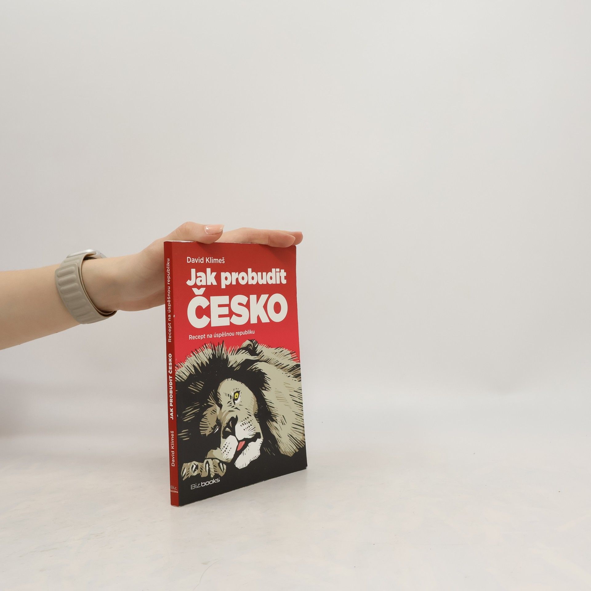 David Klimeš Jak probudit Česko. Recept na úspěšnou republiku