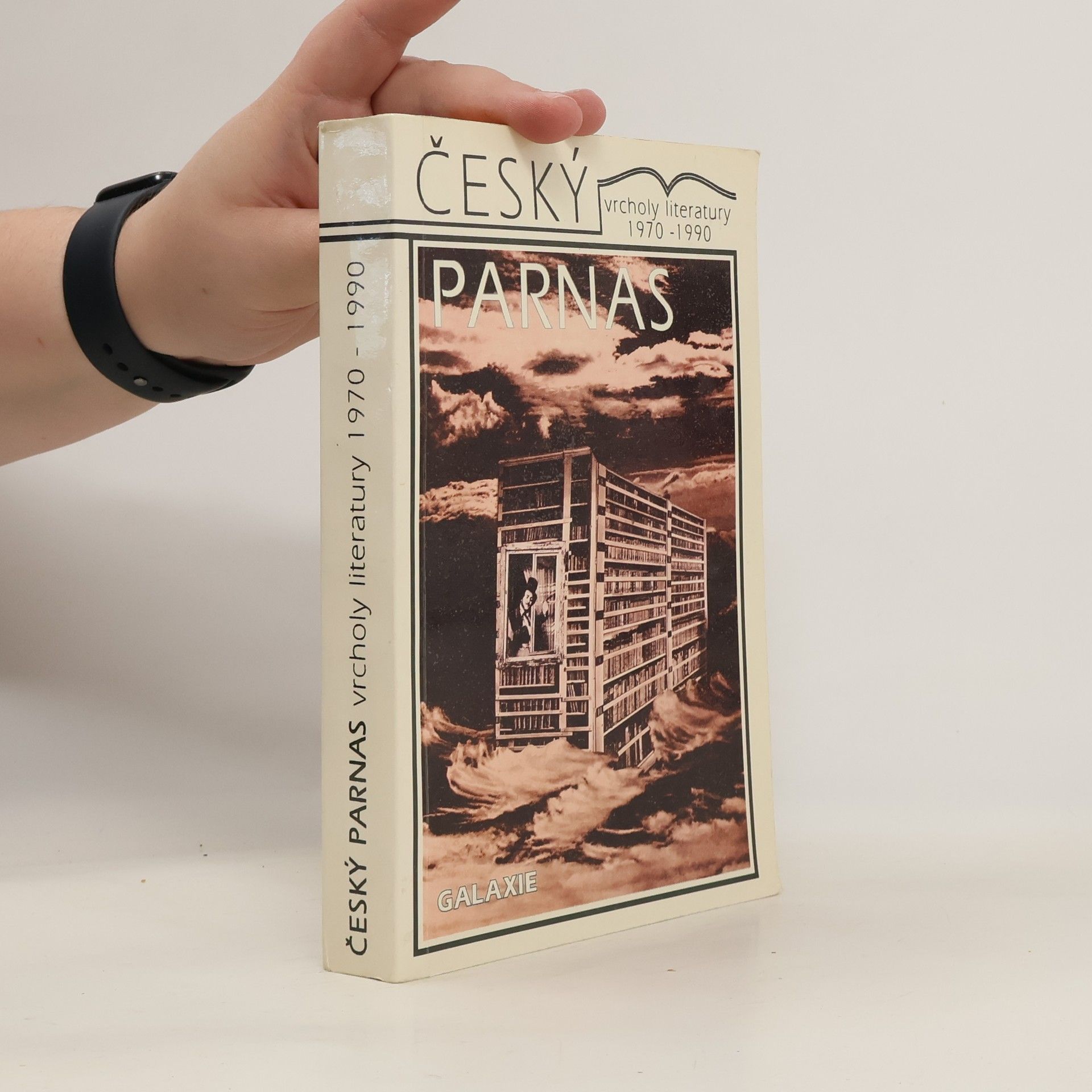 Jiří Holý Český Parnas. Literatura 1970-1990