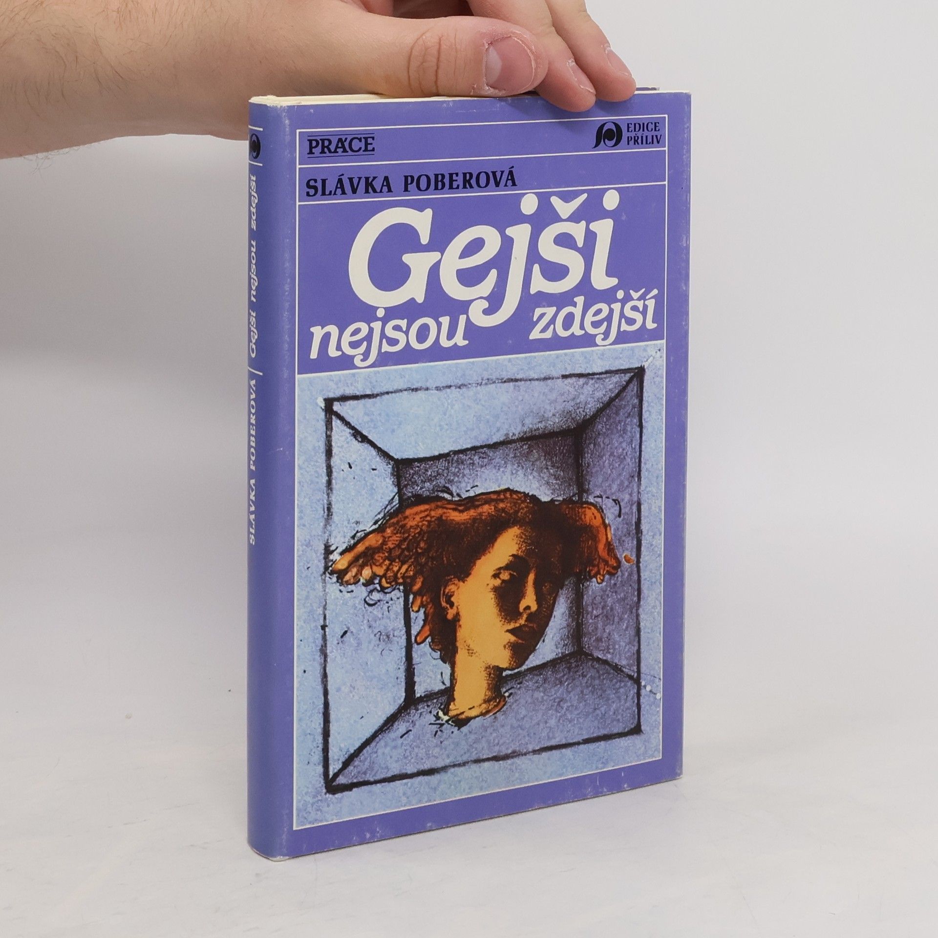 Slávka Poberová Gejši nejsou zdejší