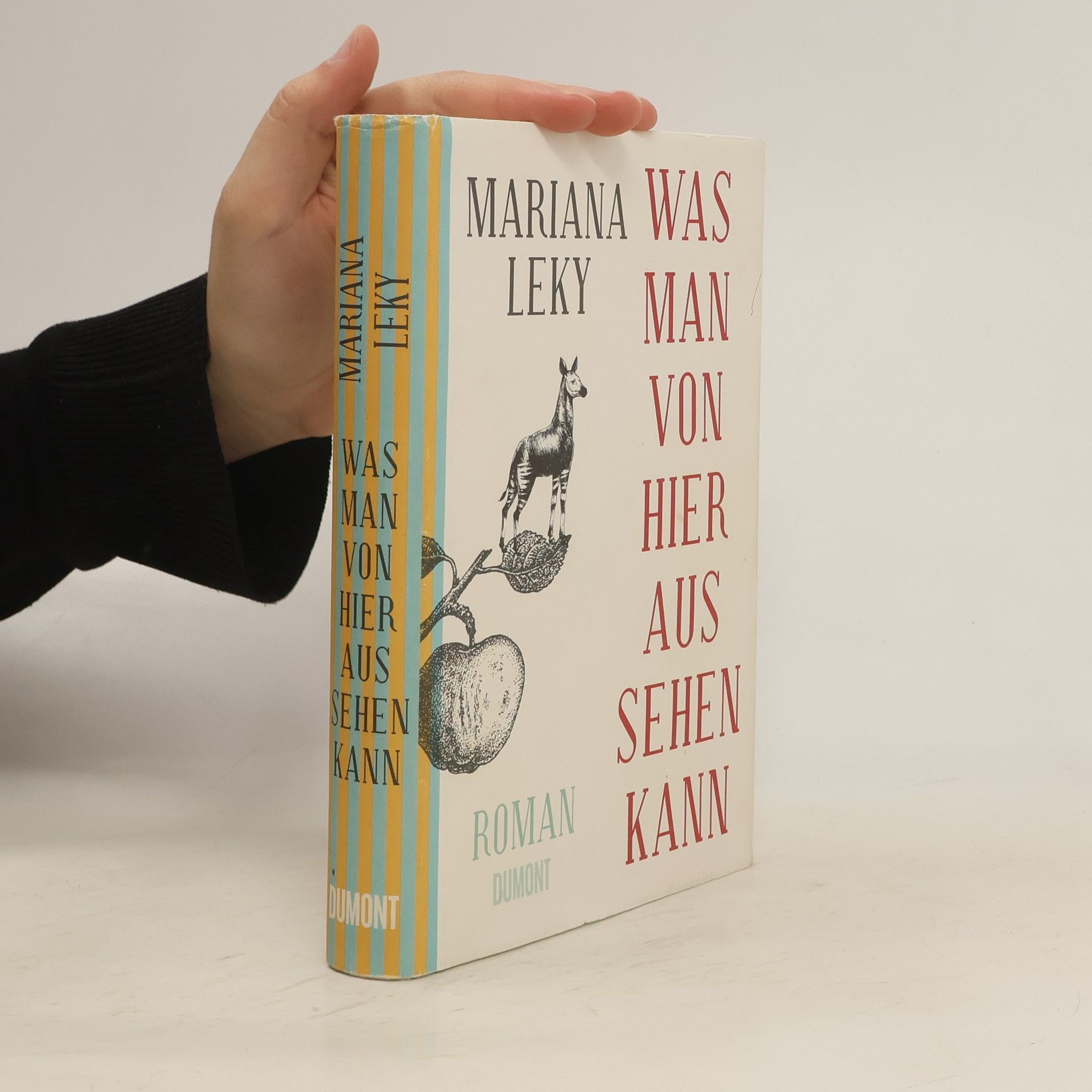 Mariana Leky Was man von hier aus sehen kann