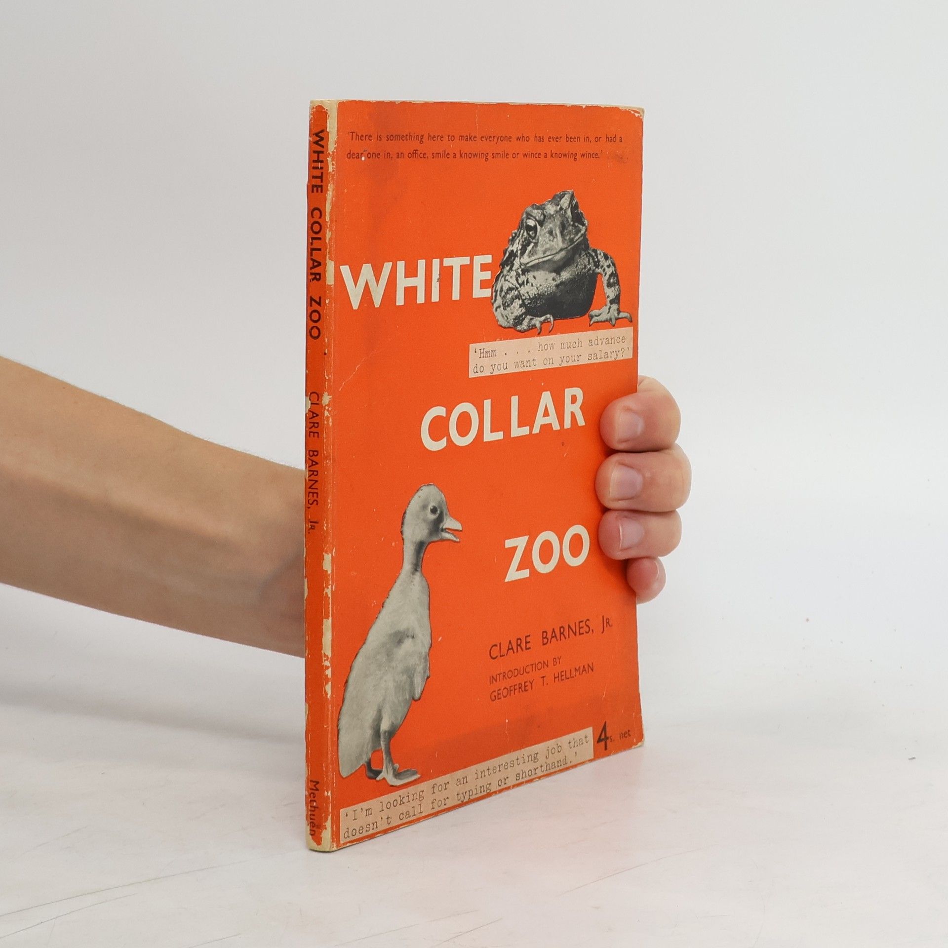 Clare Barnes White Collar Zoo