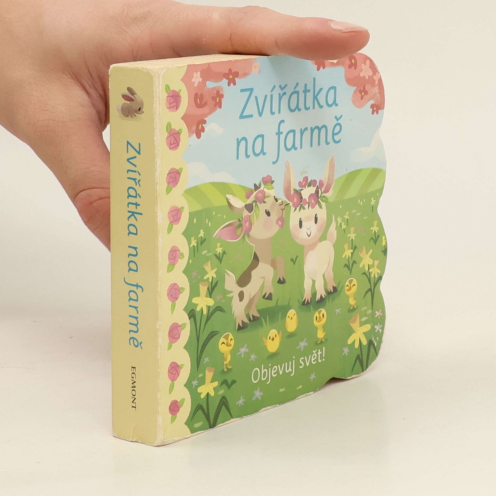 Ginger Swift Zvířátka na farmě : Objevuj svět!