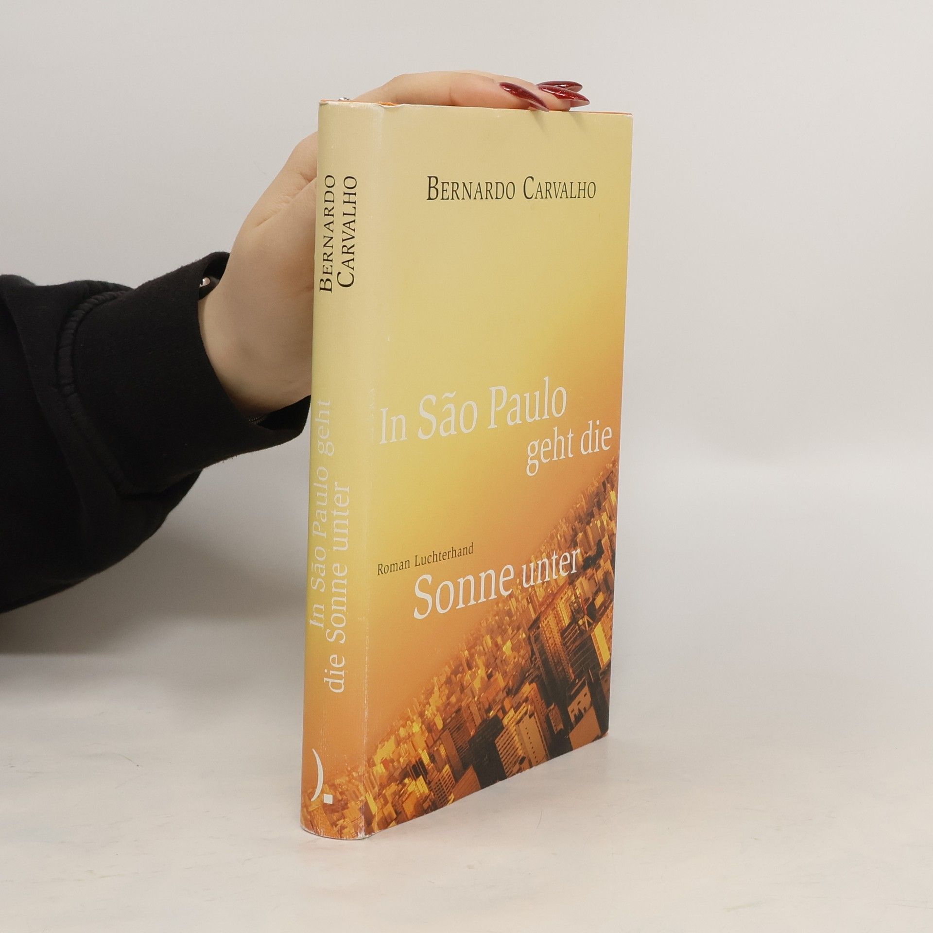 Bernardo Carvalho In São Paulo geht die Sonne unter