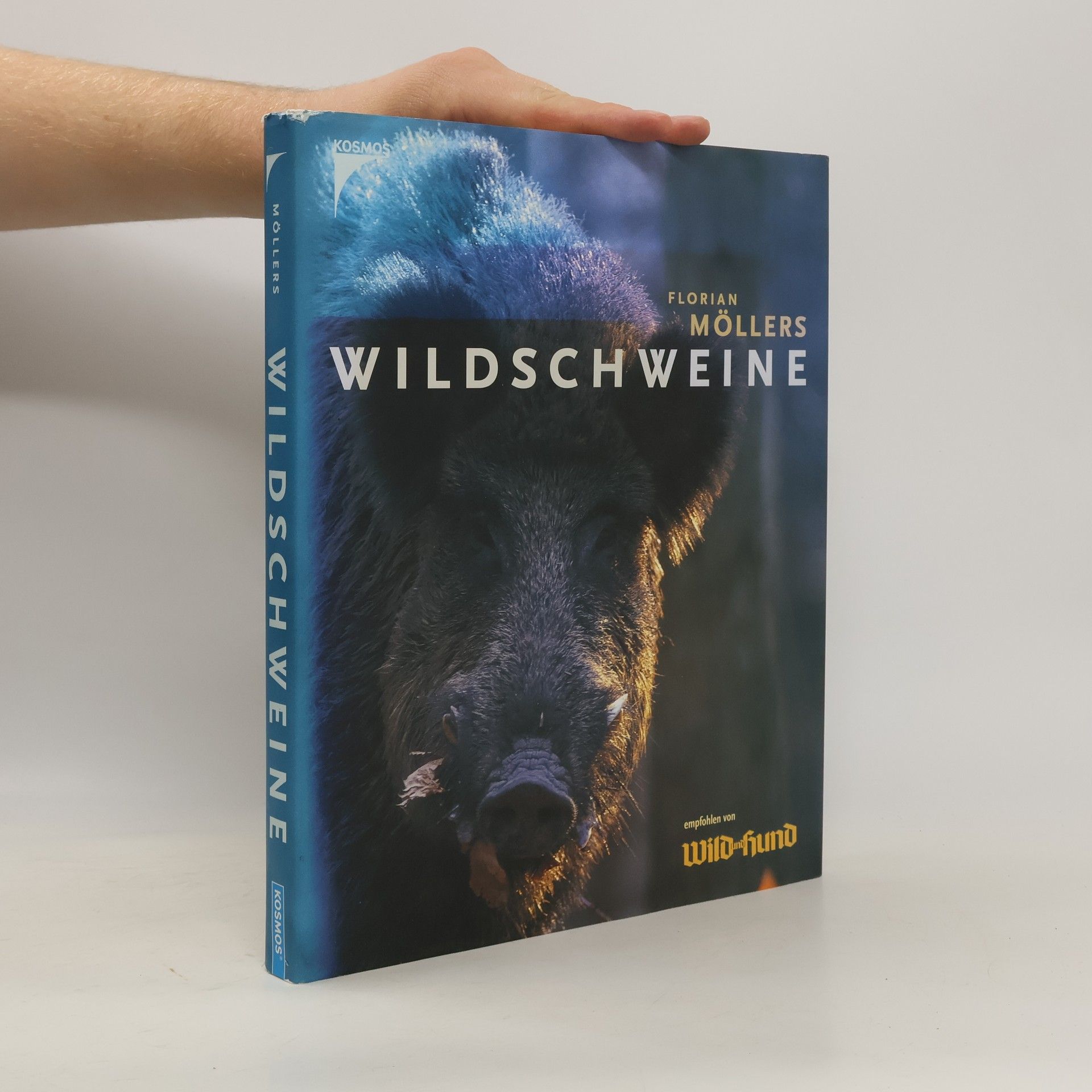 Wildschweine