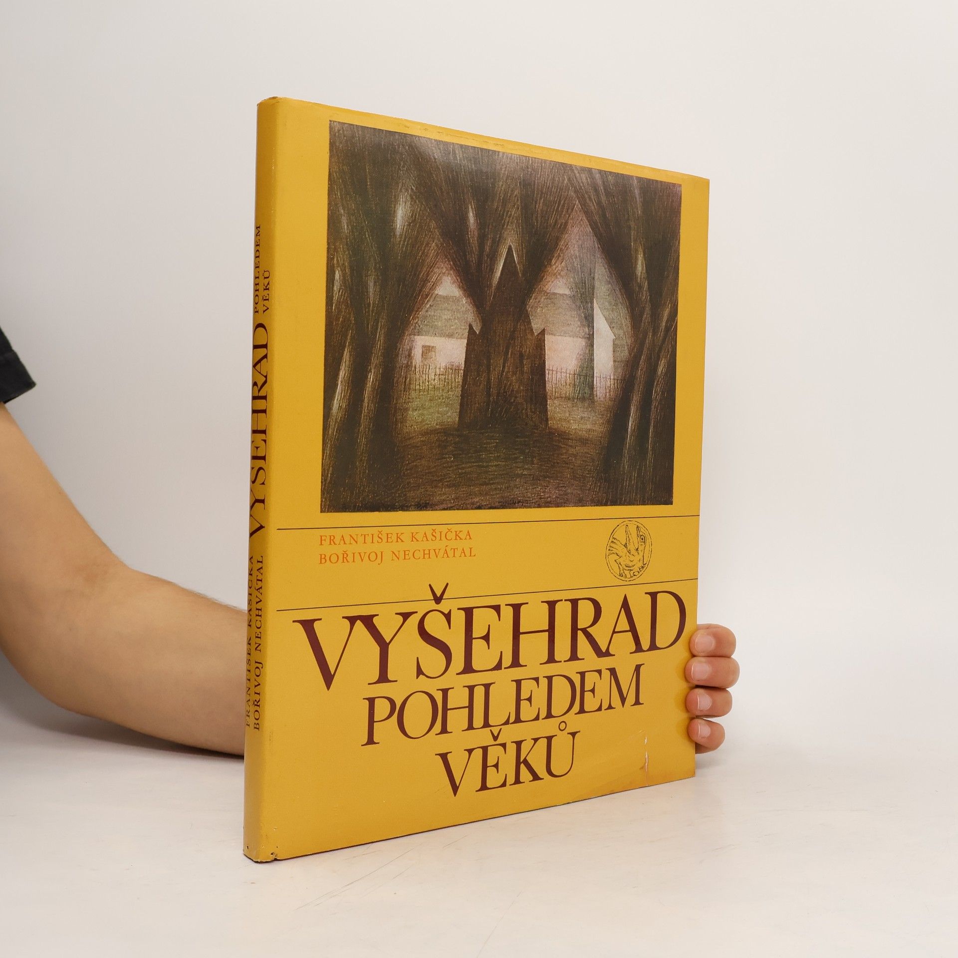 Bořivoj Nechvátal Vyšehrad pohledem věků