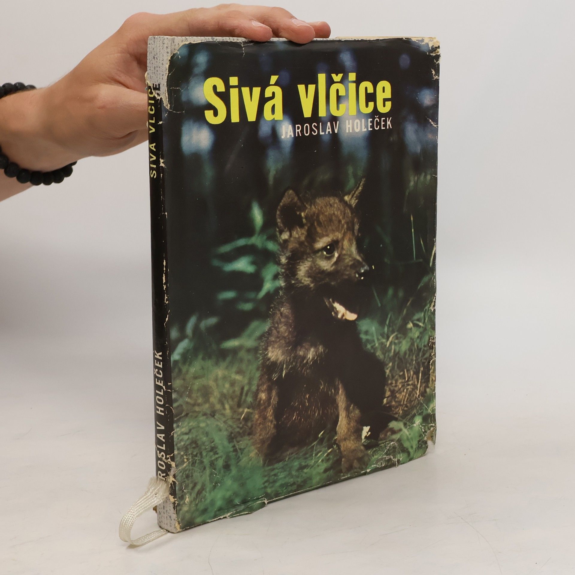 Jaroslav Holeček Sivá vlčice