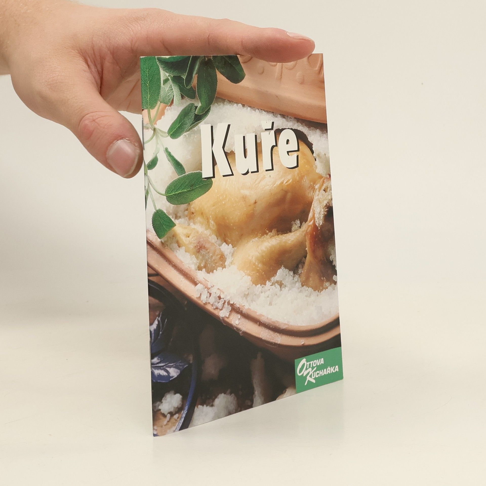Autorenkollektiv Kuře