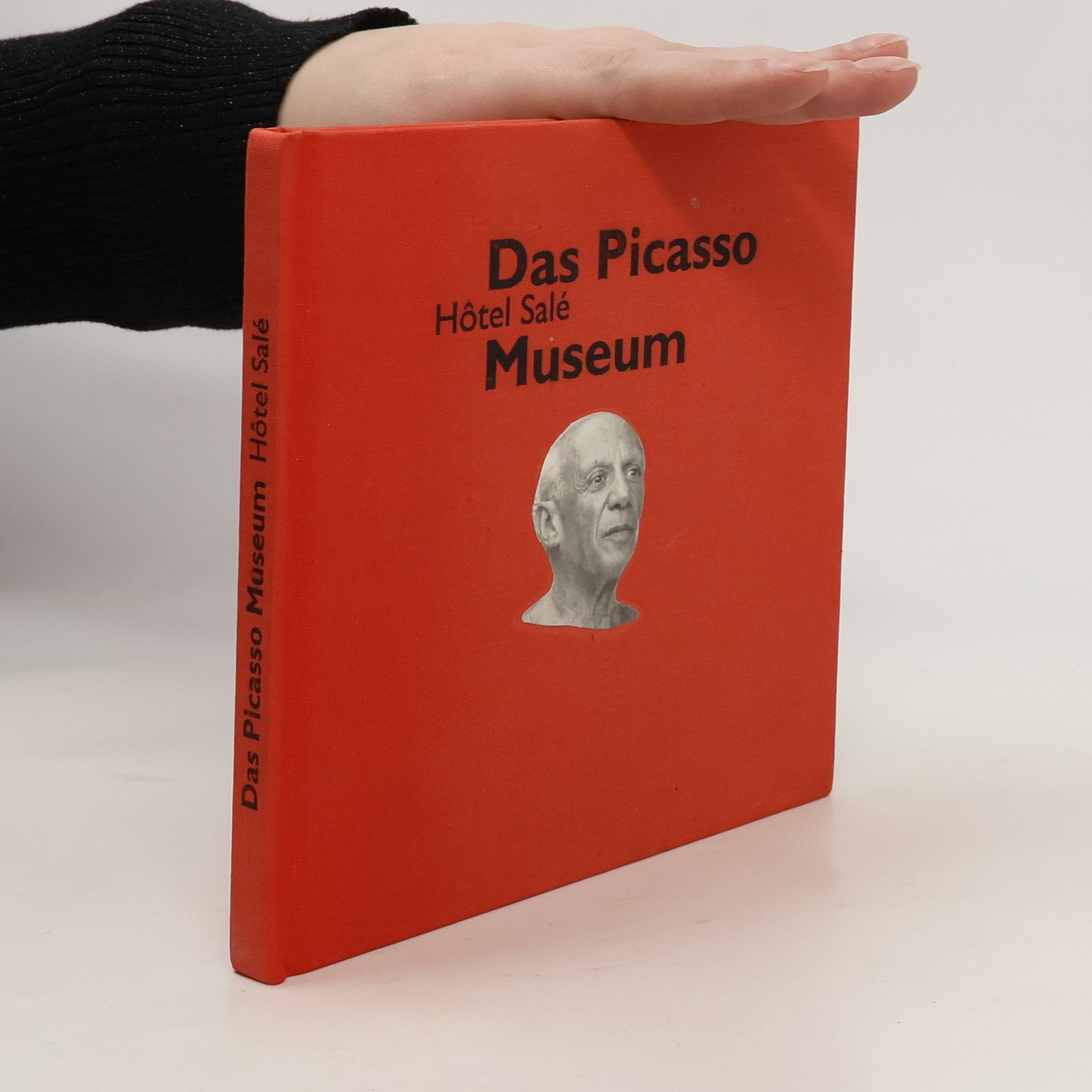 AA.VV. Das Picasso Museum