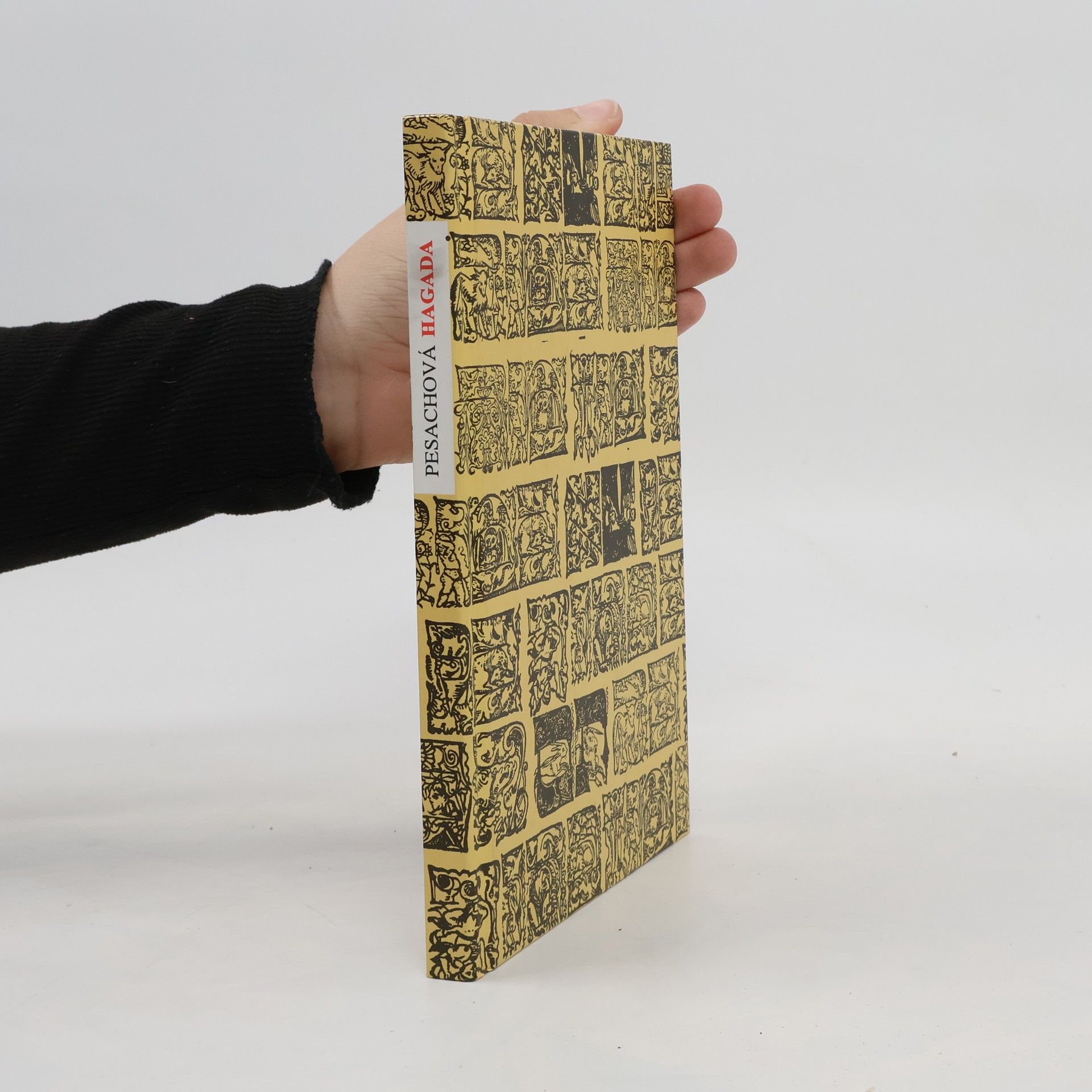 Various authors S pomocí Boží nová pražská Hagada