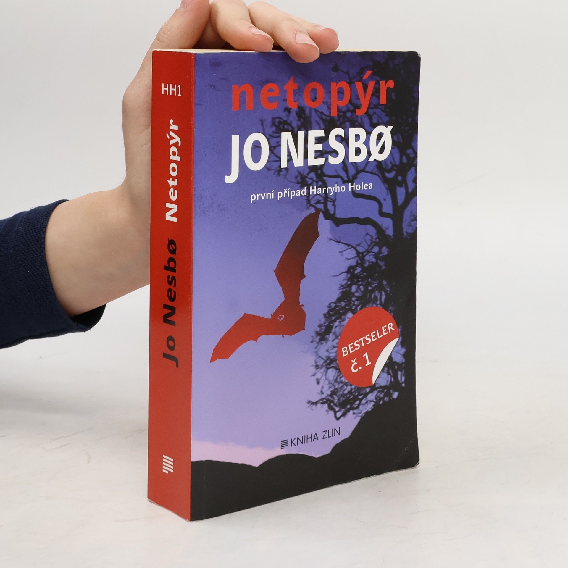 Jo Nesbø Netopýr. První případ Harryho Holea