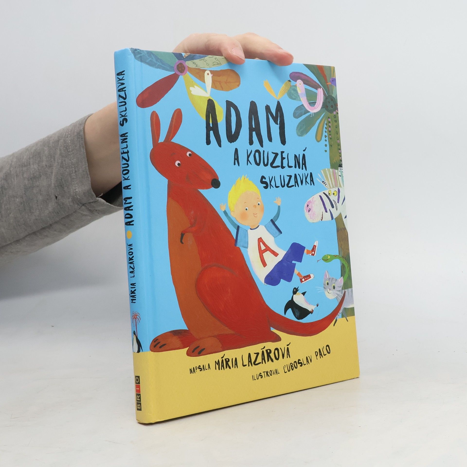 Maria Lazar Adam a kouzelná skluzavka