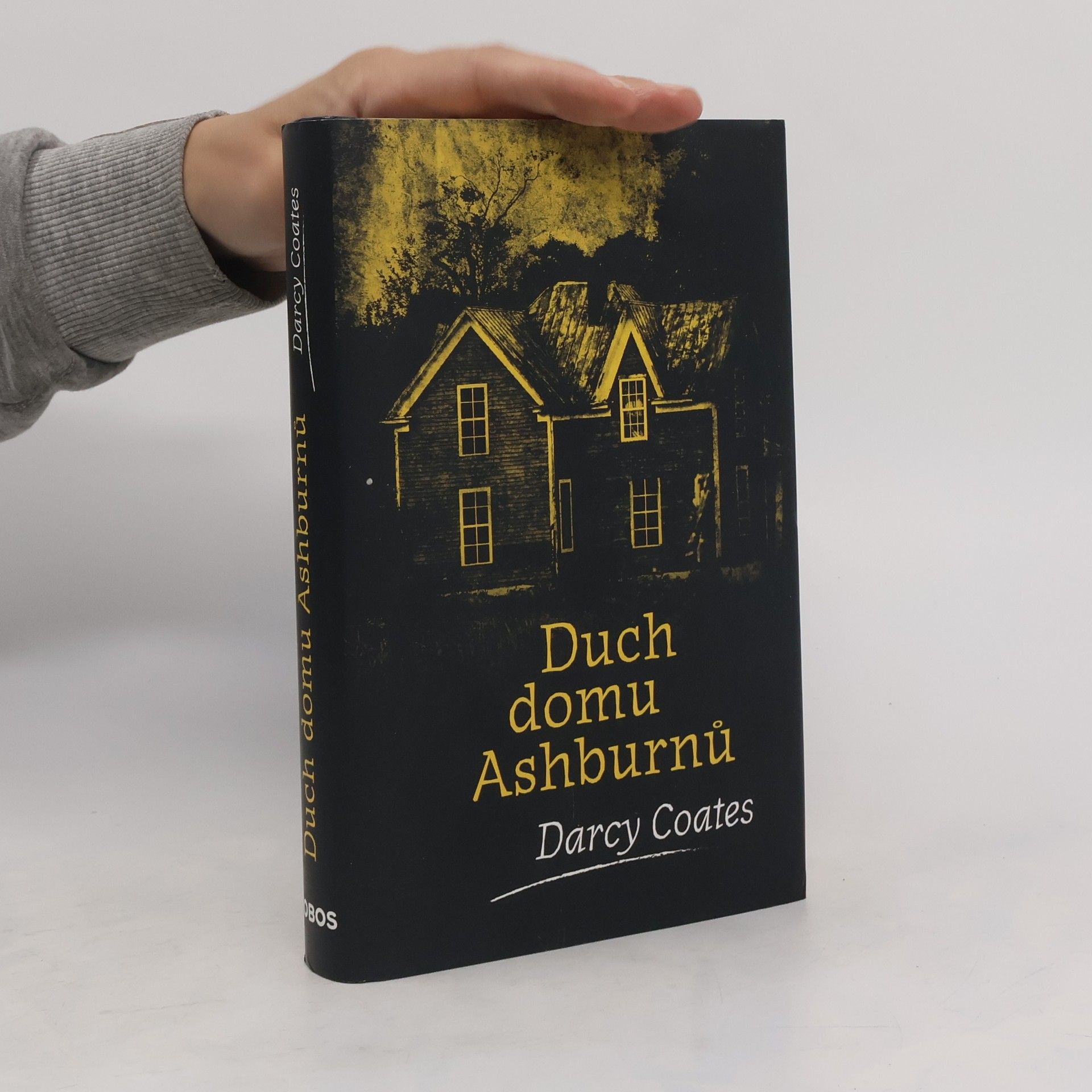 Darcy Coates Duch domu Ashburnů