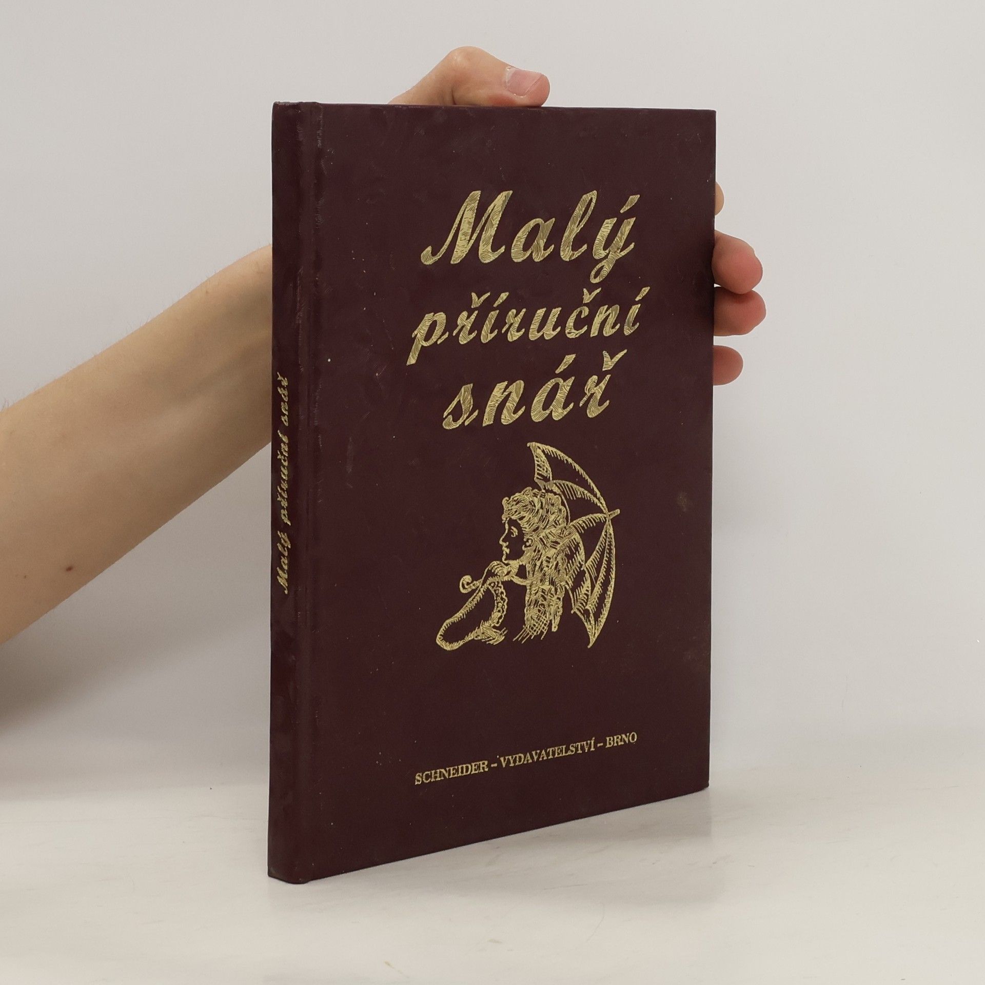 Autorenkollektiv Malý příruční snář