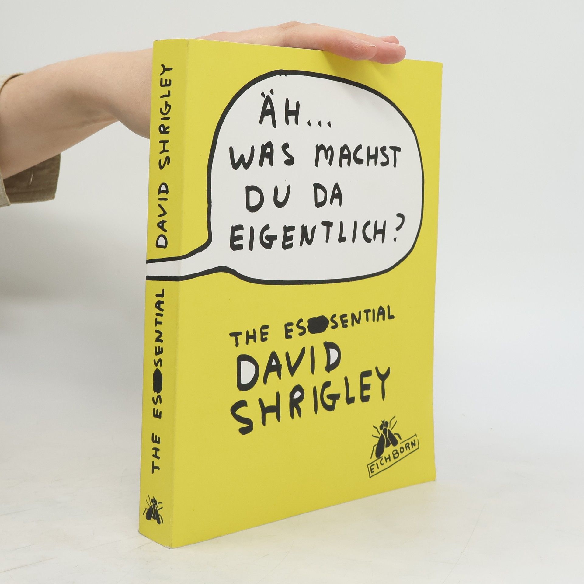 David Shrigley Äh ... was machst du da eigentlich?