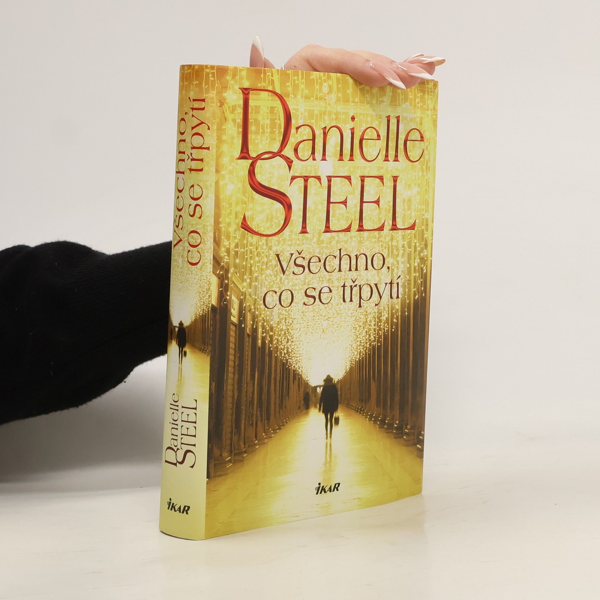 Danielle Steel Všechno, co se třpytí