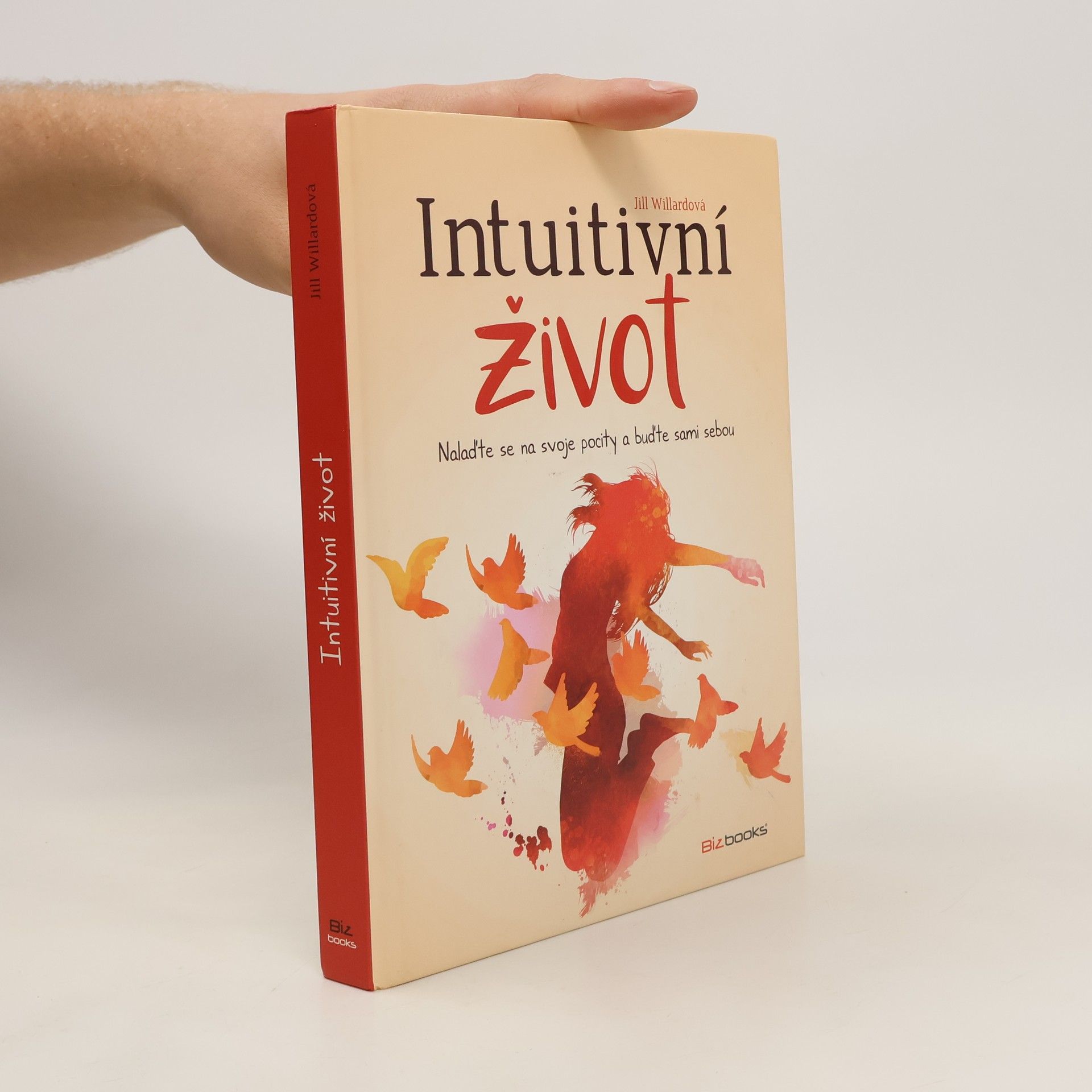 Jill Willard Intuitivní život: Nalaďte se na svou intuici a buďte sami sebou