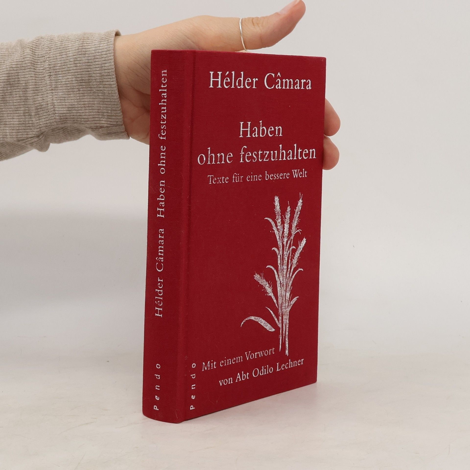 Hélder Câmara Haben, ohne festzuhalten