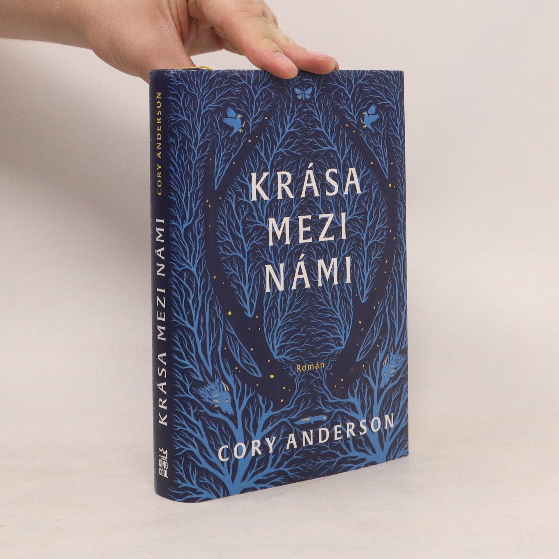 Cory L. Anderson Krása mezi námi