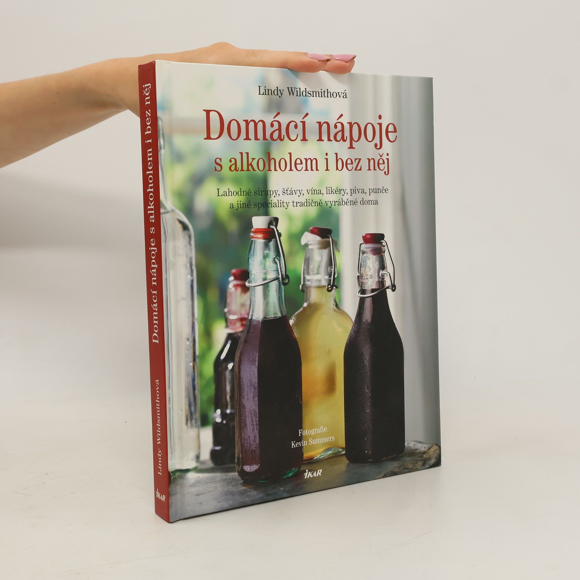 Lindy Wildsmith Domácí nápoje s alkoholem i bez něj