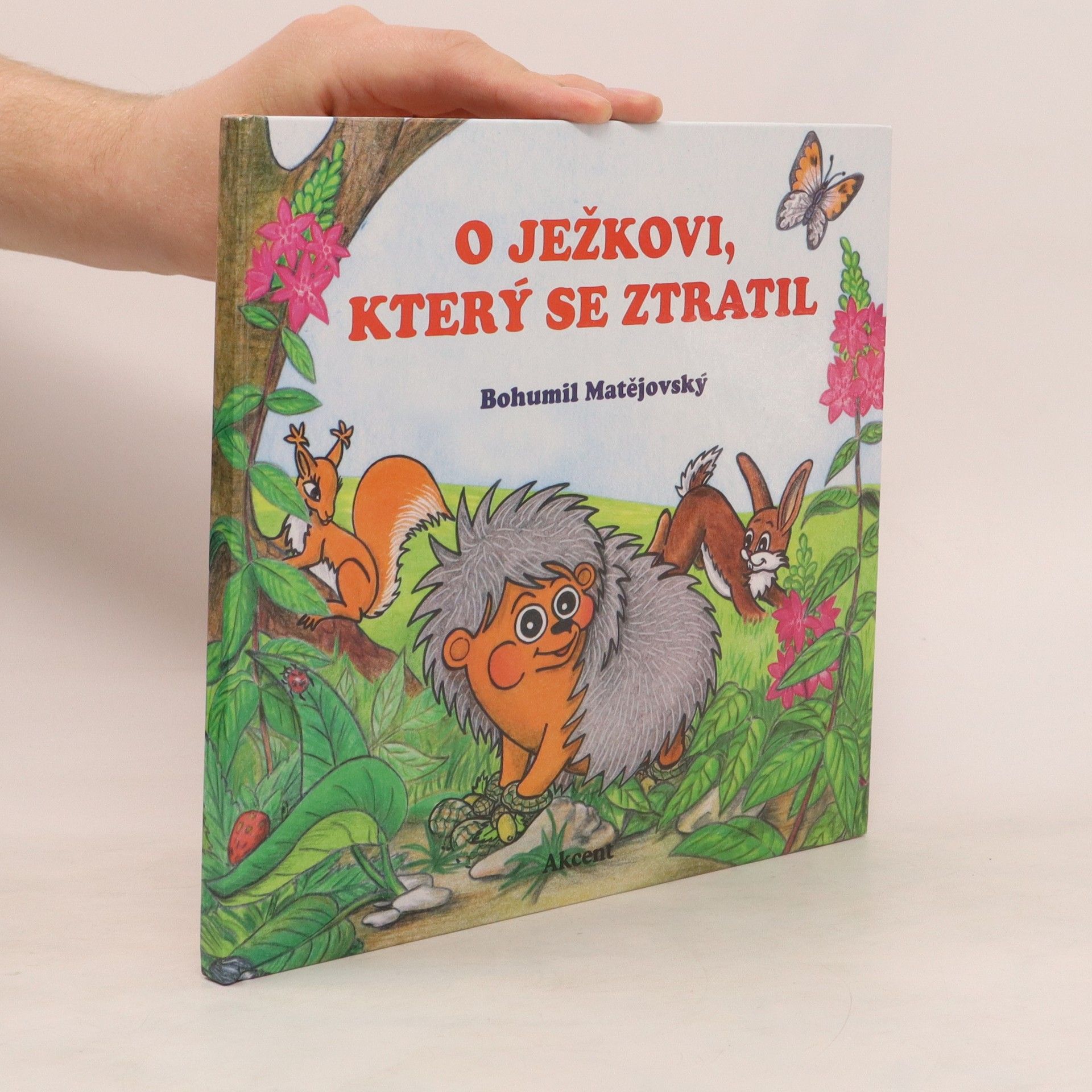Bohumil Matějovský O ježkovi, který se ztratil