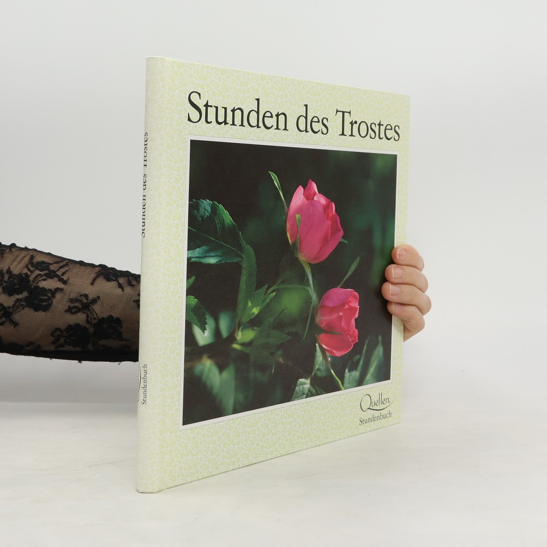 Eugen Hettinger Stunden des Trostes