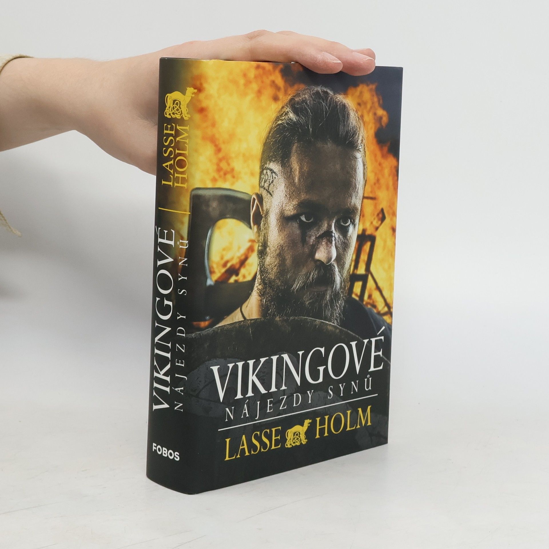 Lasse Holm Vikingové. Nájezdy synů