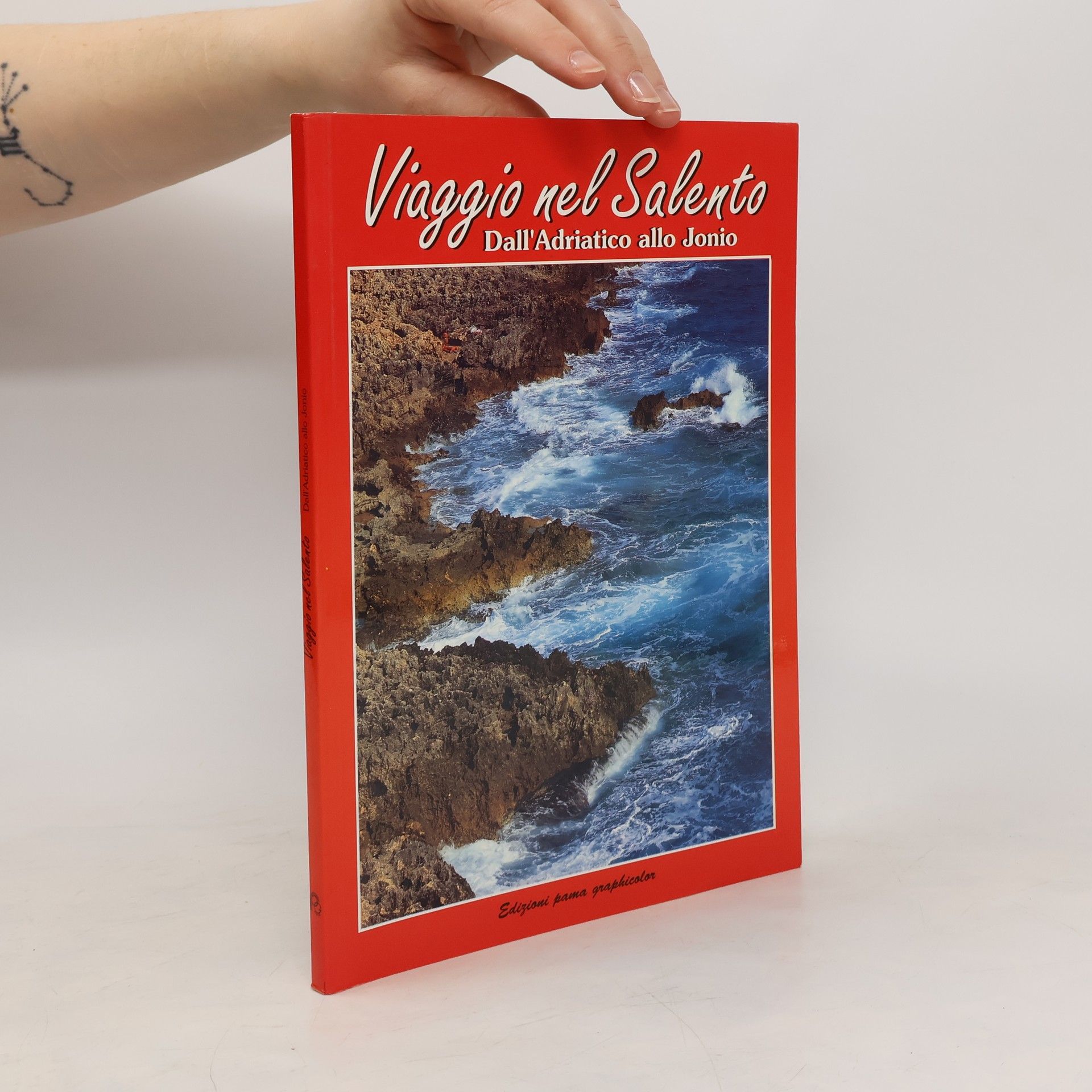 AA.VV. Viaggio nel Salento