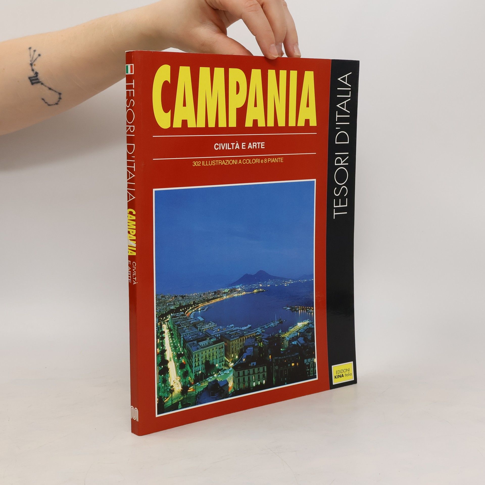 Kolektiv autorů Campania