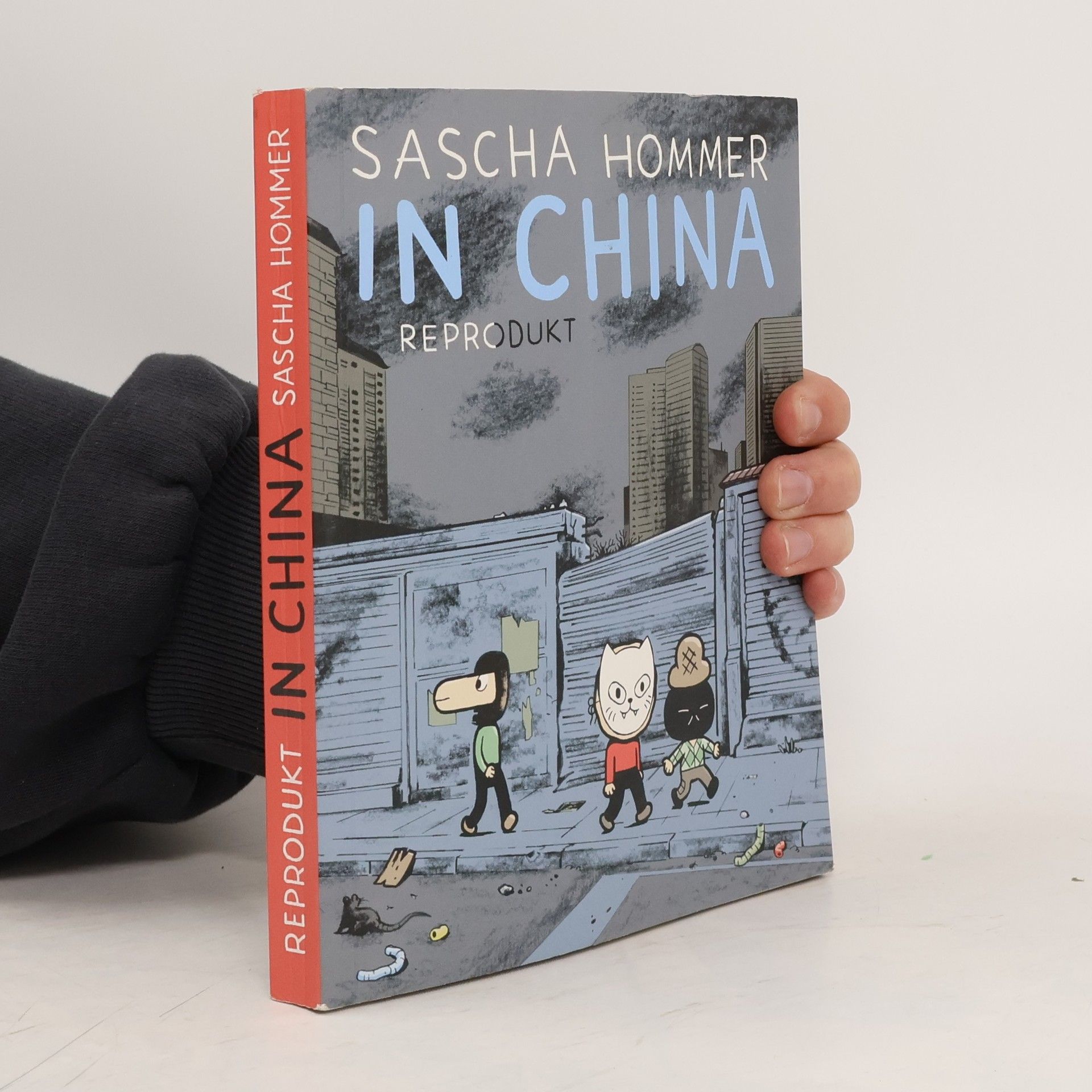 Sascha Hommer In China