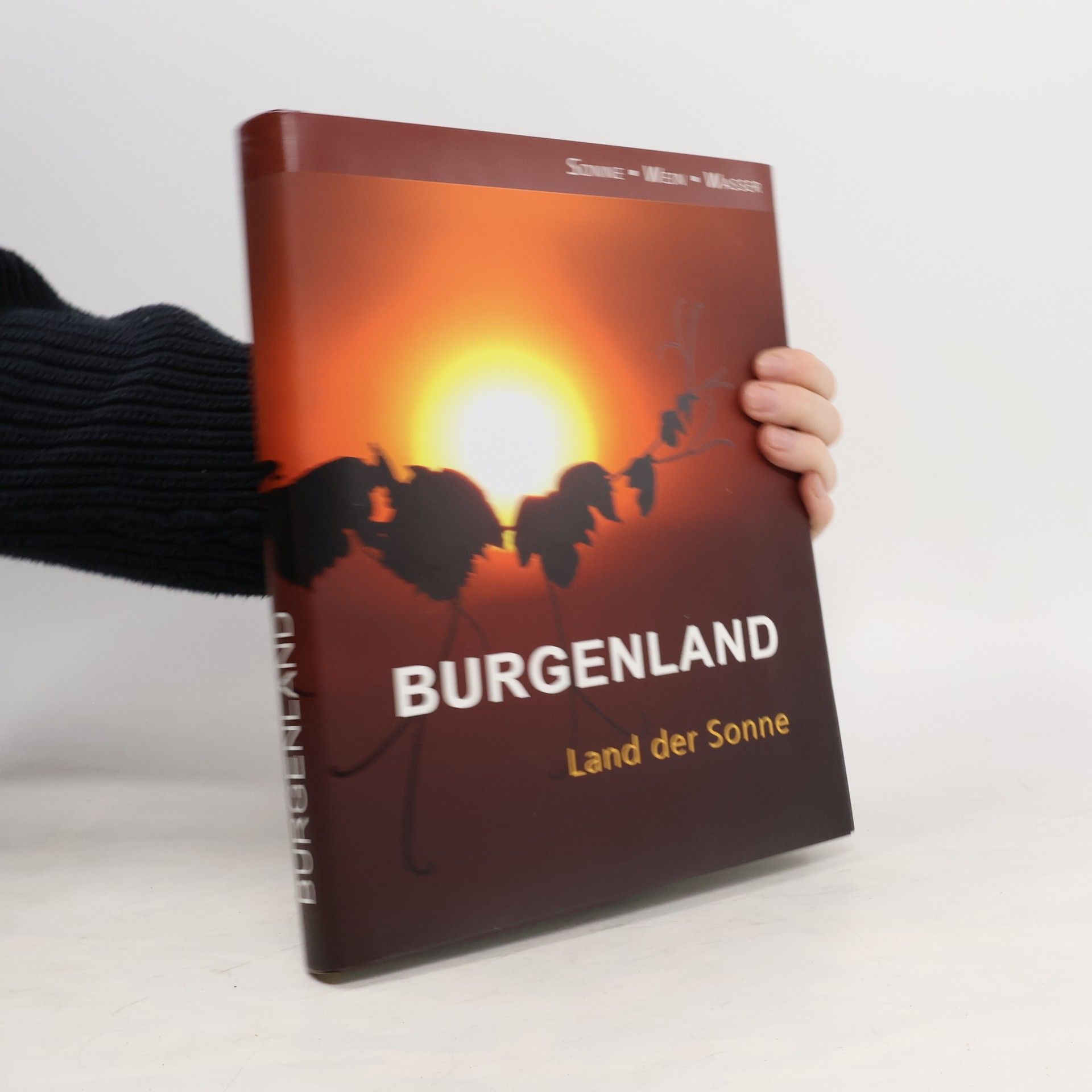 Markus Kirsner Burgenland