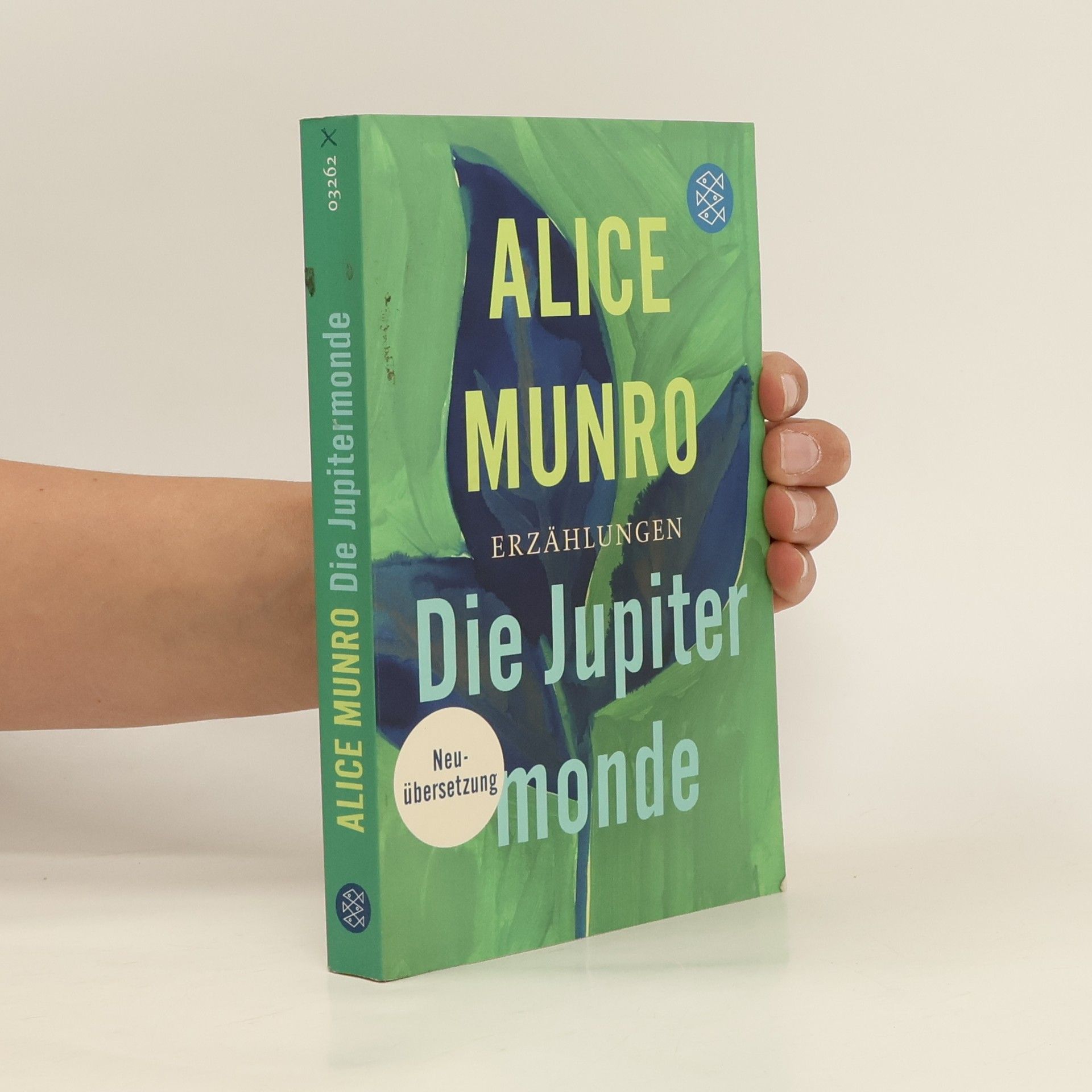 Alice Munro Die Jupitermonde