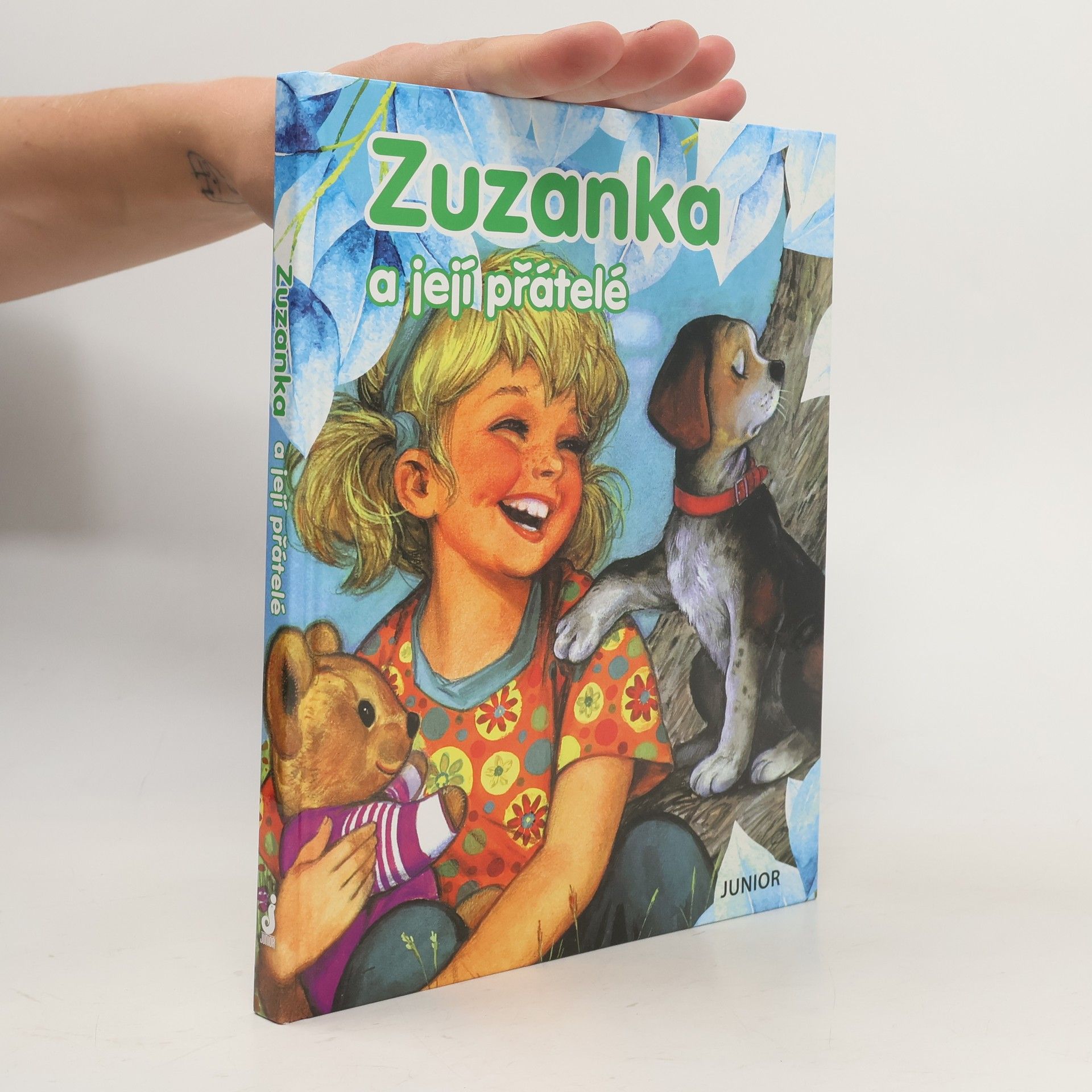 Pierre Couronne Zuzanka a její přátelé