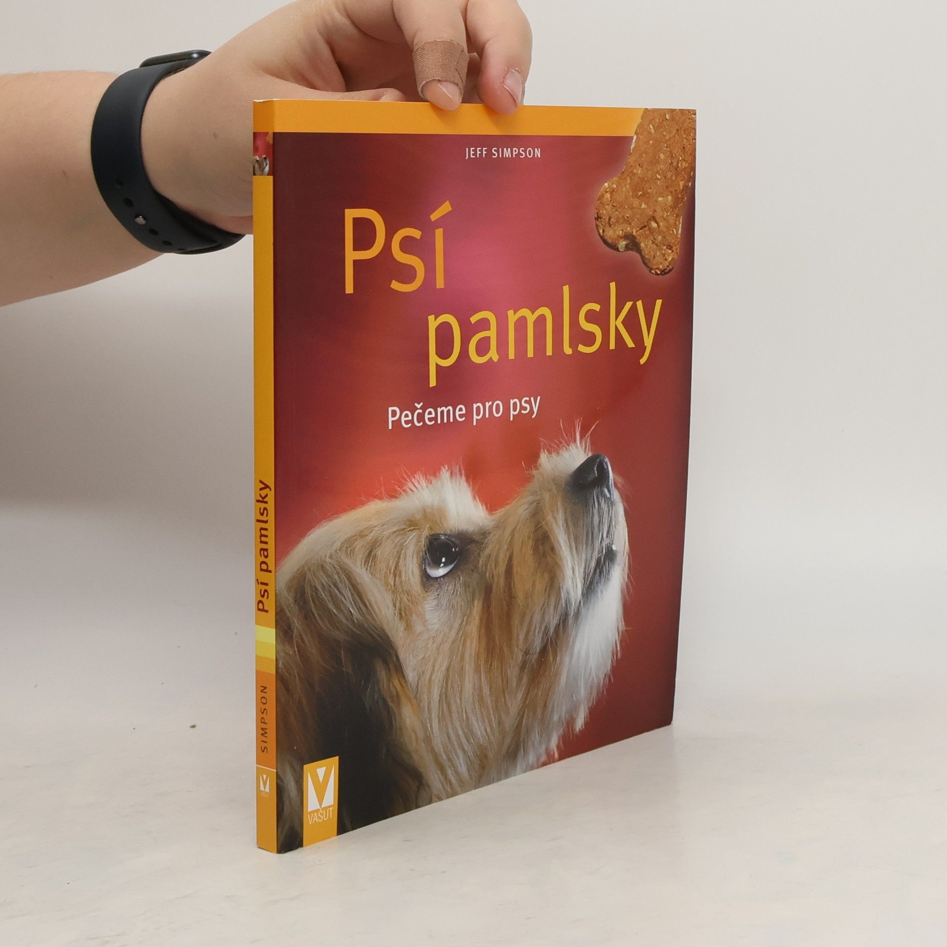 Jeff Simpson Psí pamlsky: Pečeme pro psy