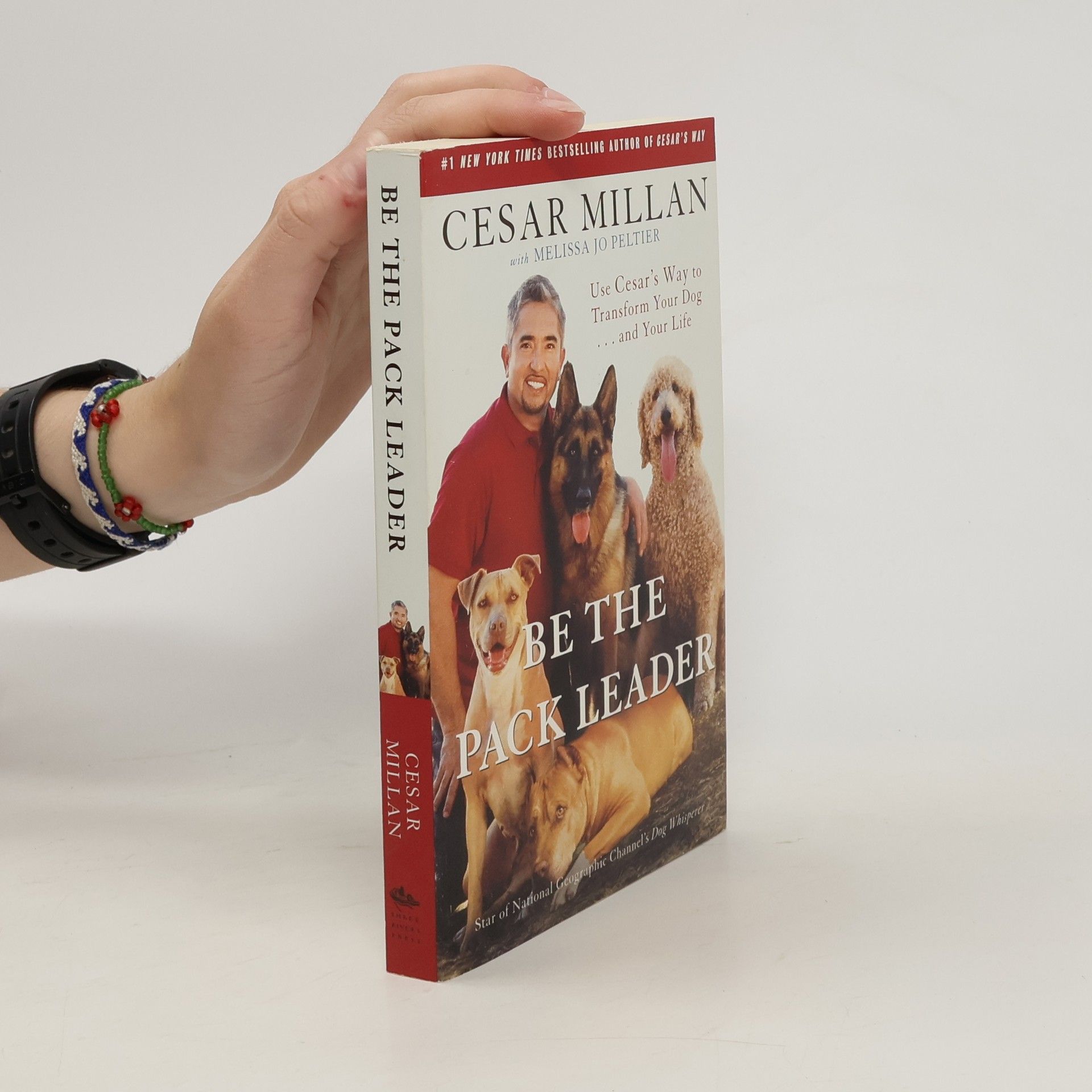 Cesar Millan Be the pack leader