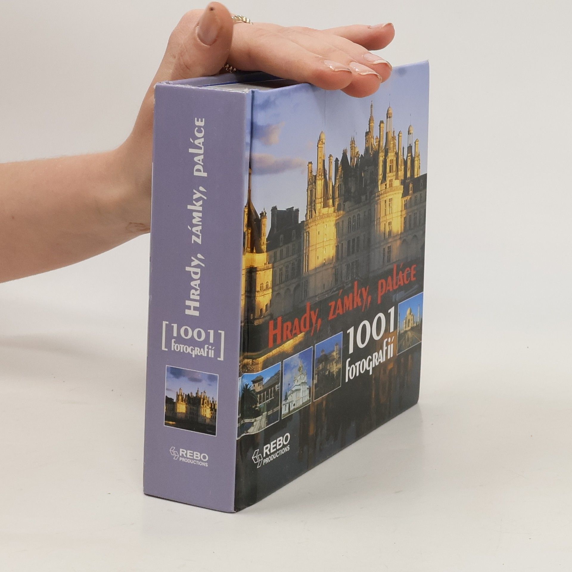 Bayle Francoise Hrady, zámky, paláce: 1001 fotografií
