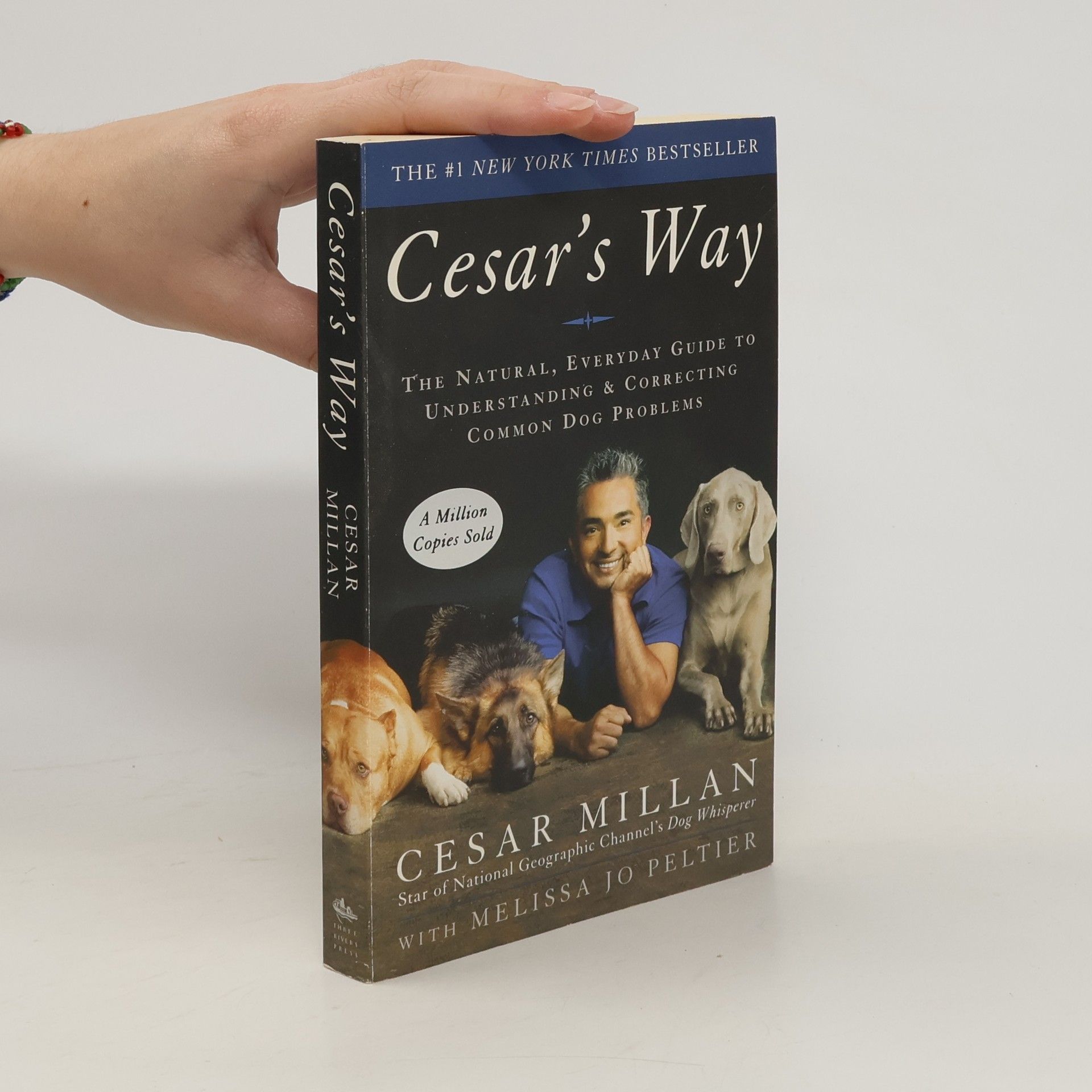 Cesar Millan Cesar's Way