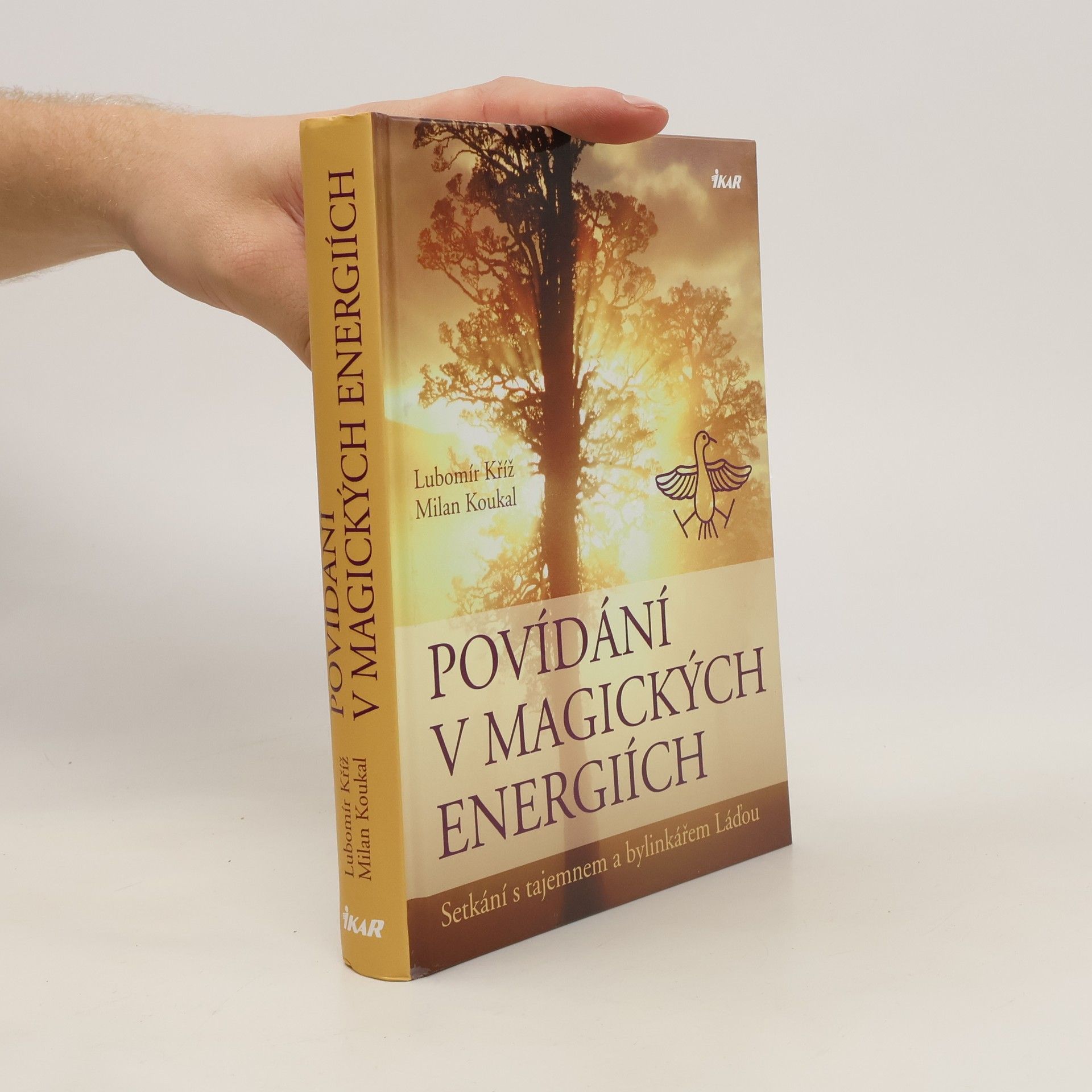Lubomír Kříž Povídání v magických energiích
