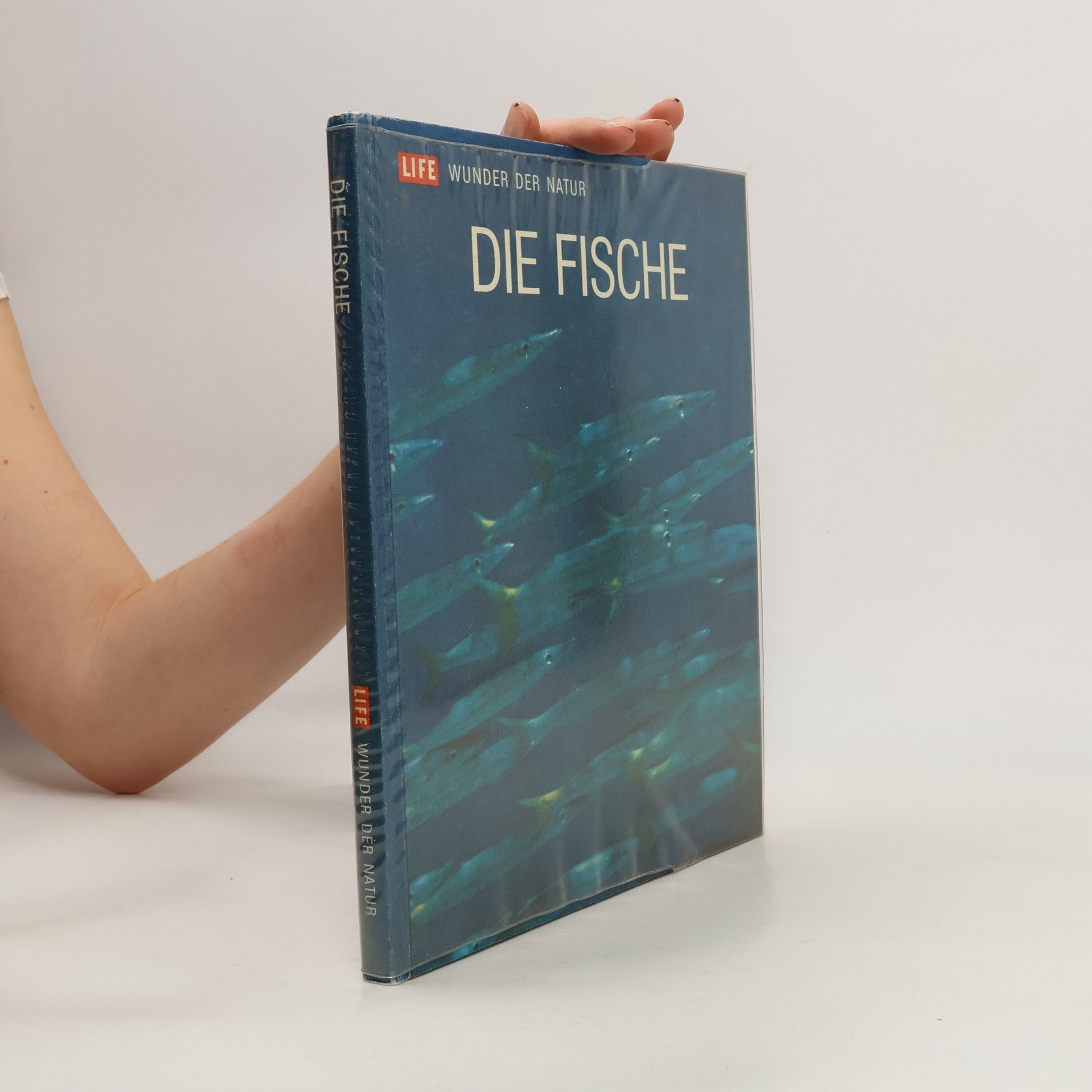 Autorenkollektiv Die Fische