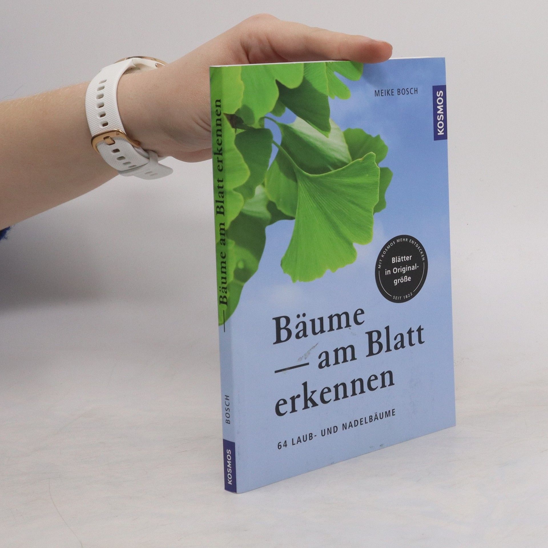 Meike Bosch Bäume am Blatt erkennen