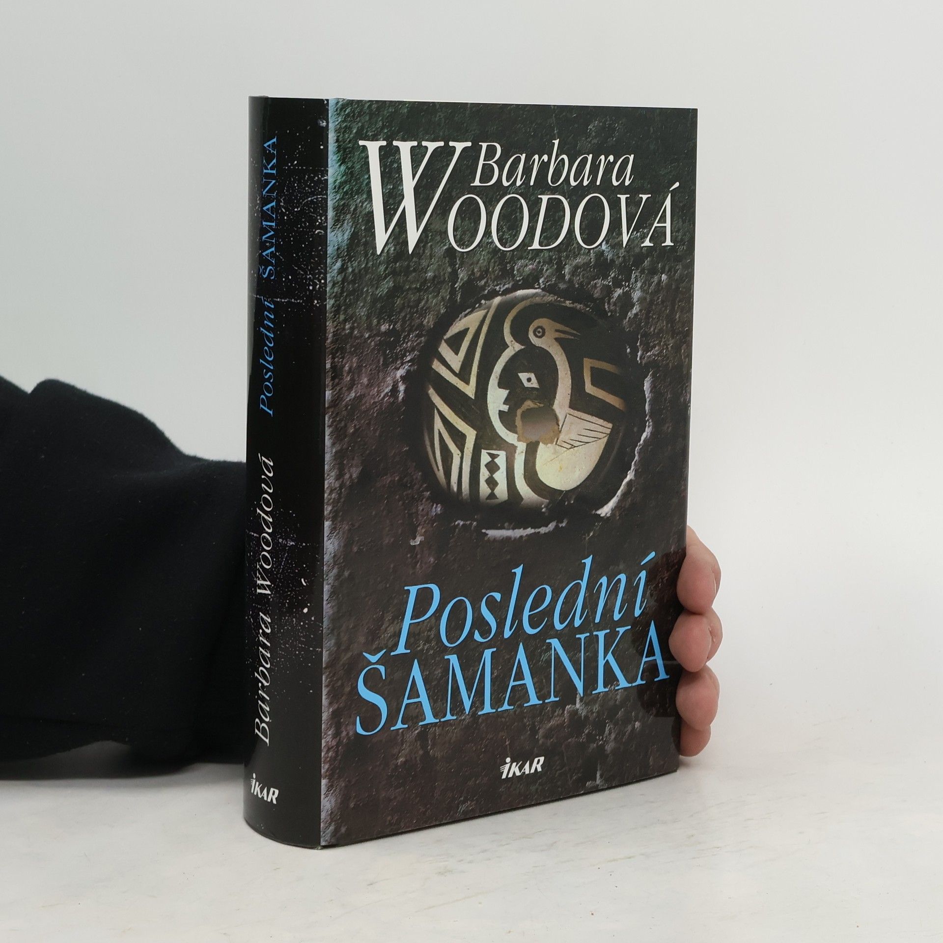 Barbara Wood Poslední šamanka
