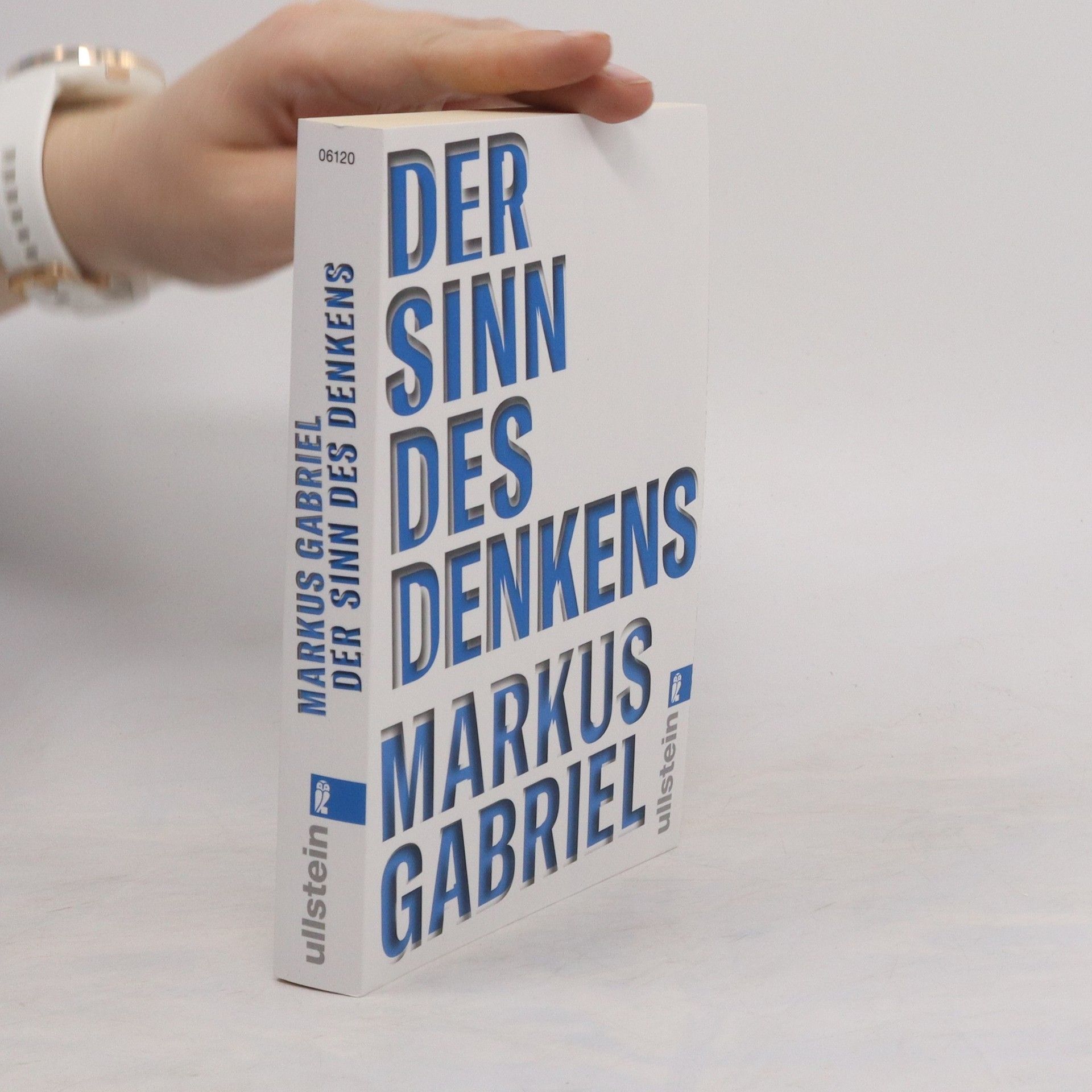 Markus Gabriel Der Sinn des Denkens