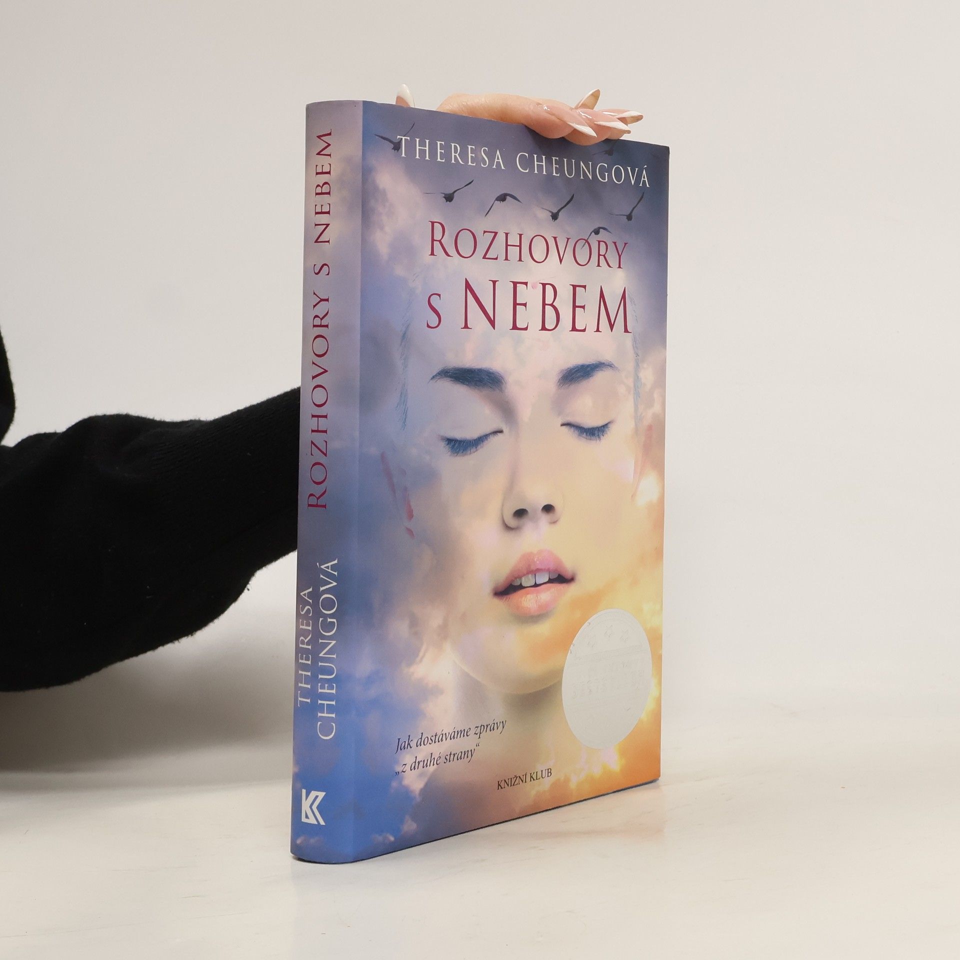 Theresa Francis-Cheung Rozhovory s nebem
