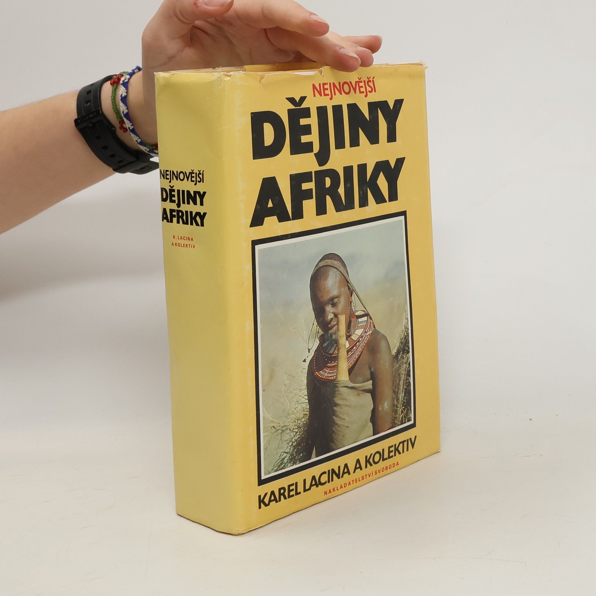 Karel Lacina Nejnovější dějiny Afriky