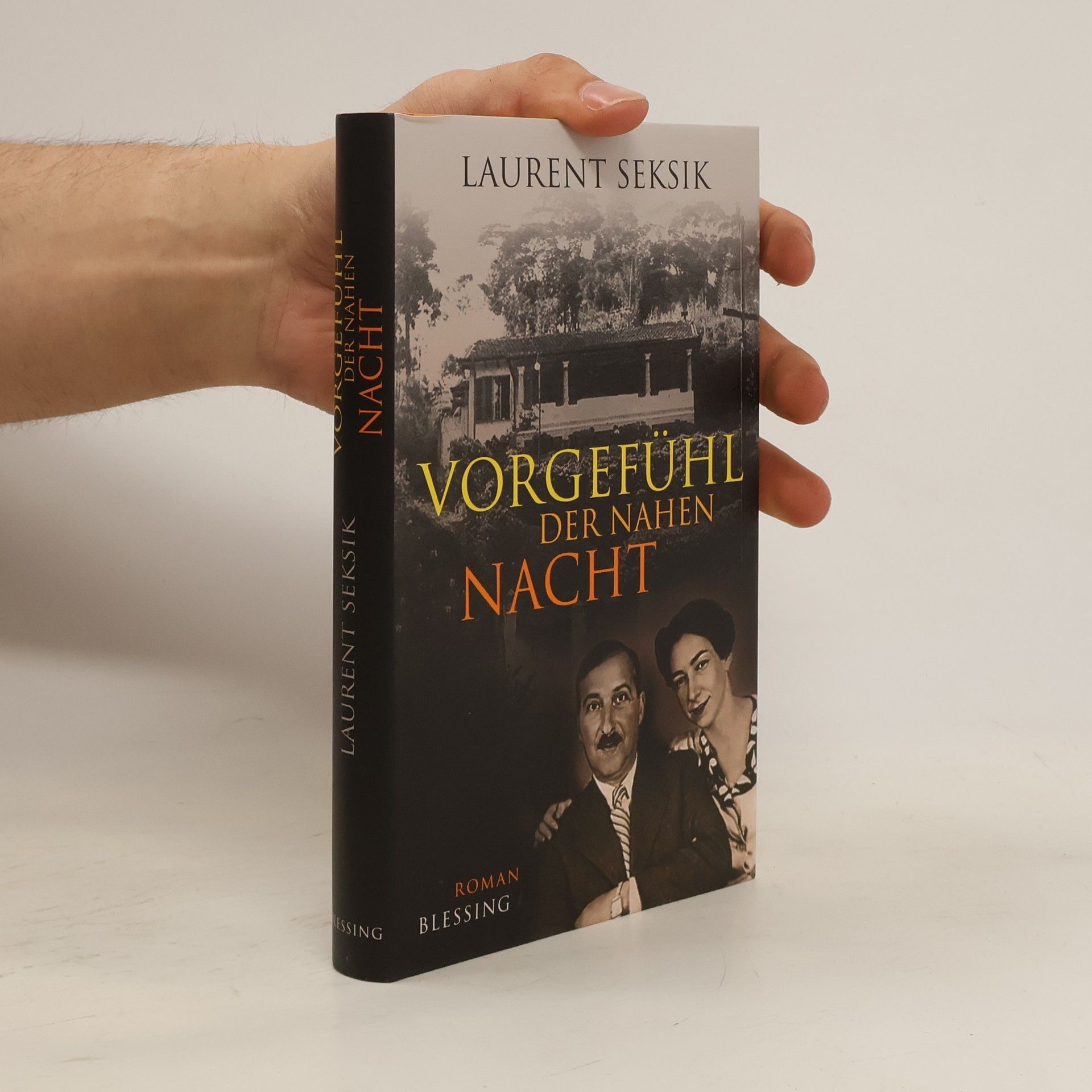 Laurent Seksik Vorgefühl der nahen Nacht