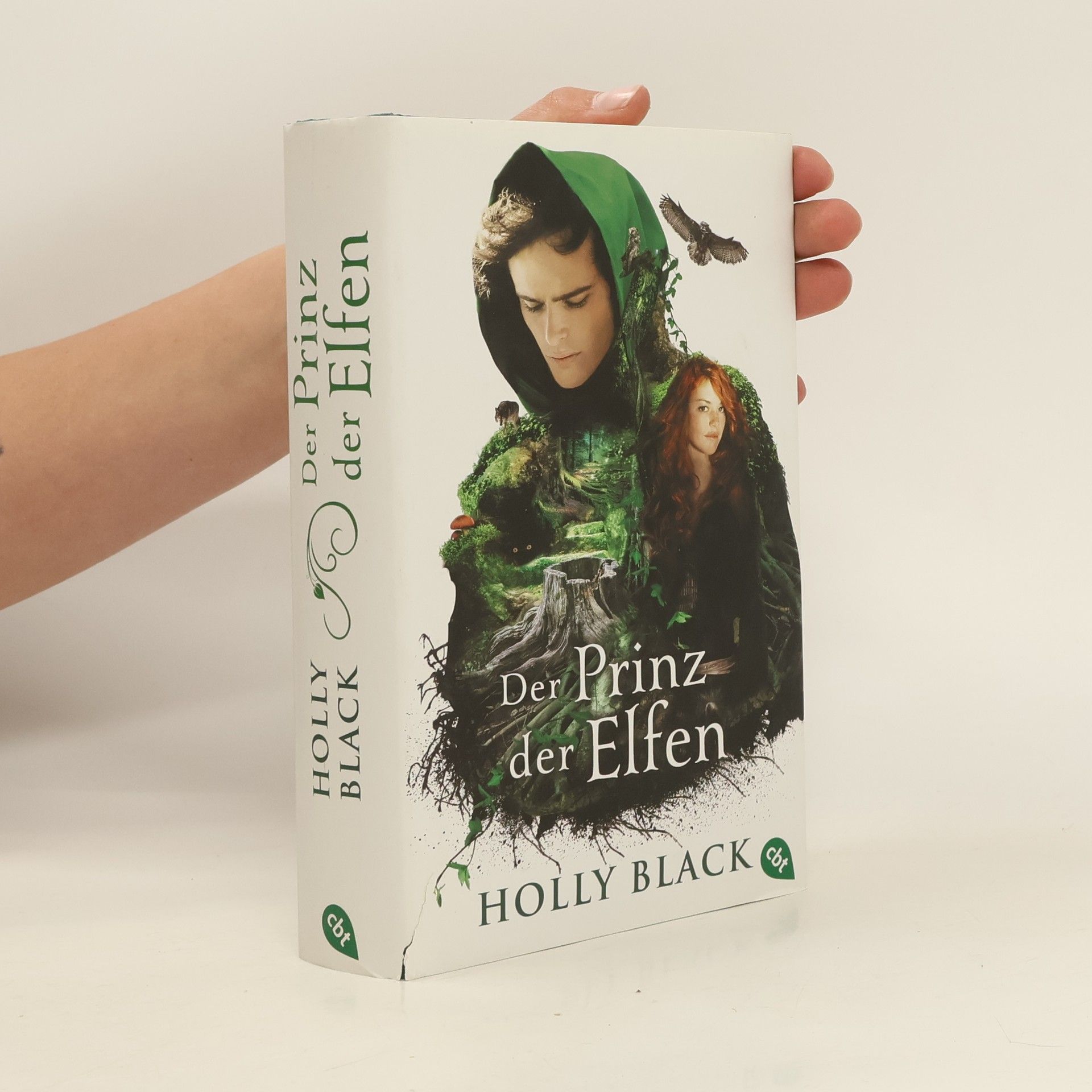 Holly Black Der Prinz der Elfen
